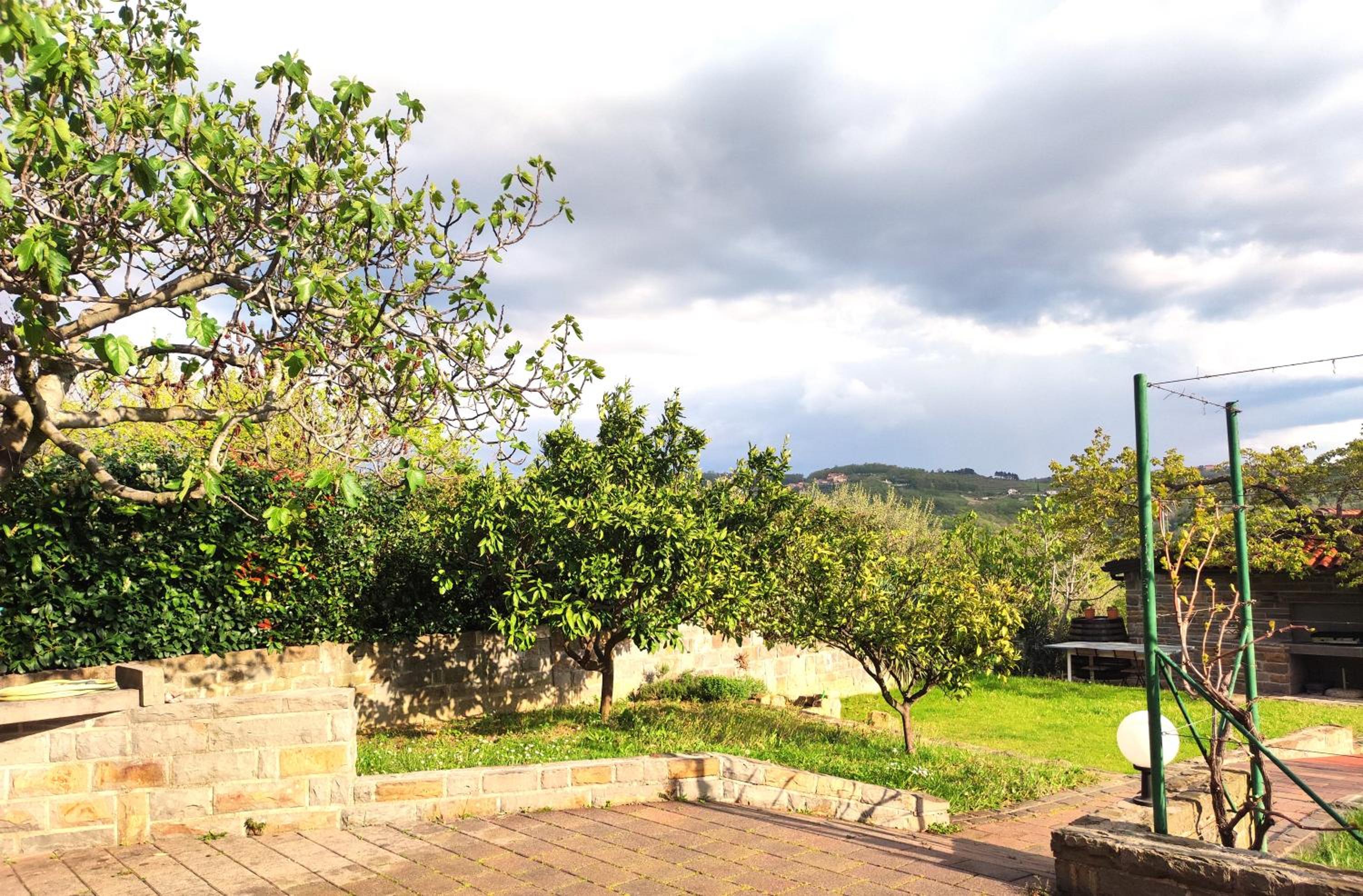 Apartment With Garden View photo 3