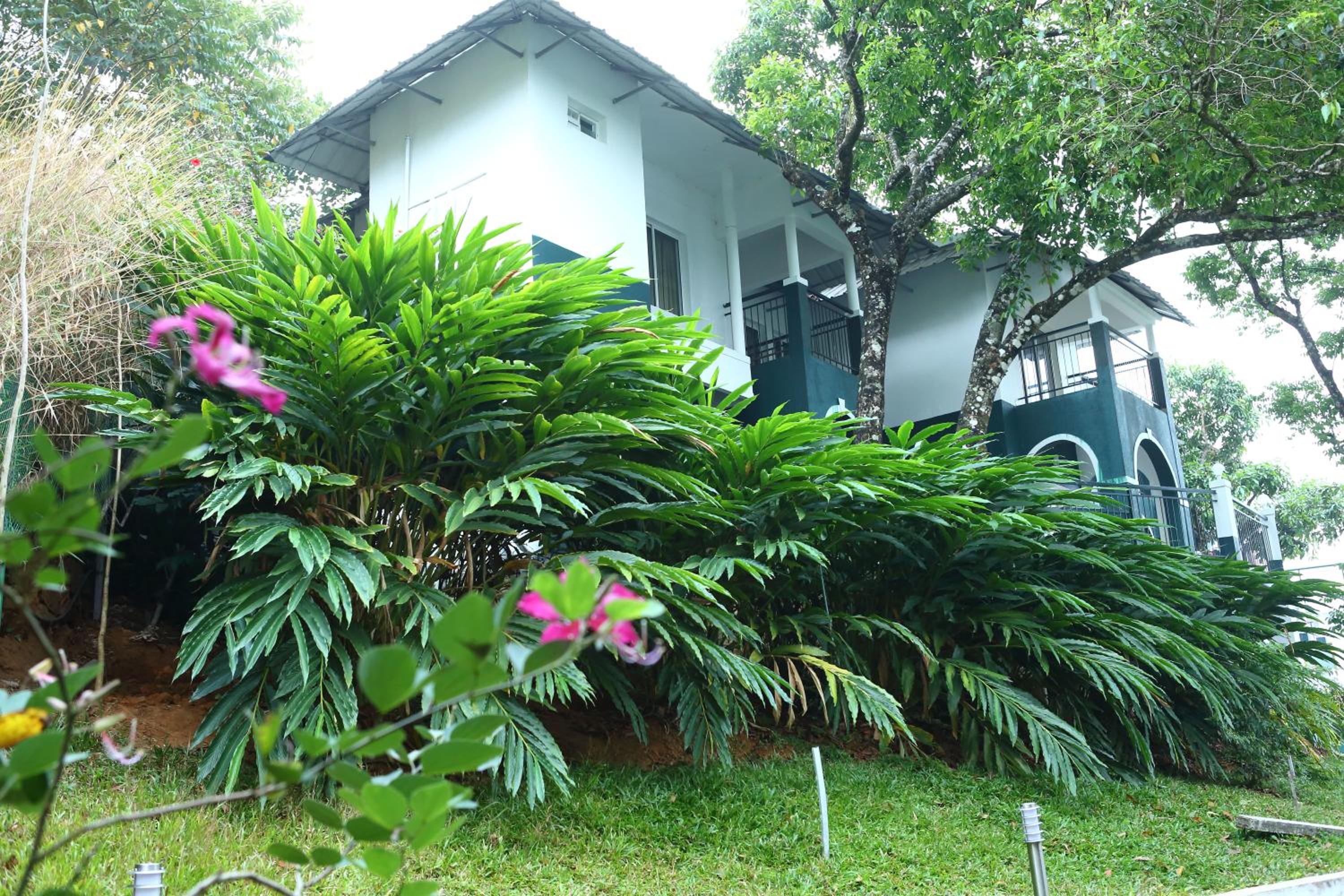 Family Cottage photo 3