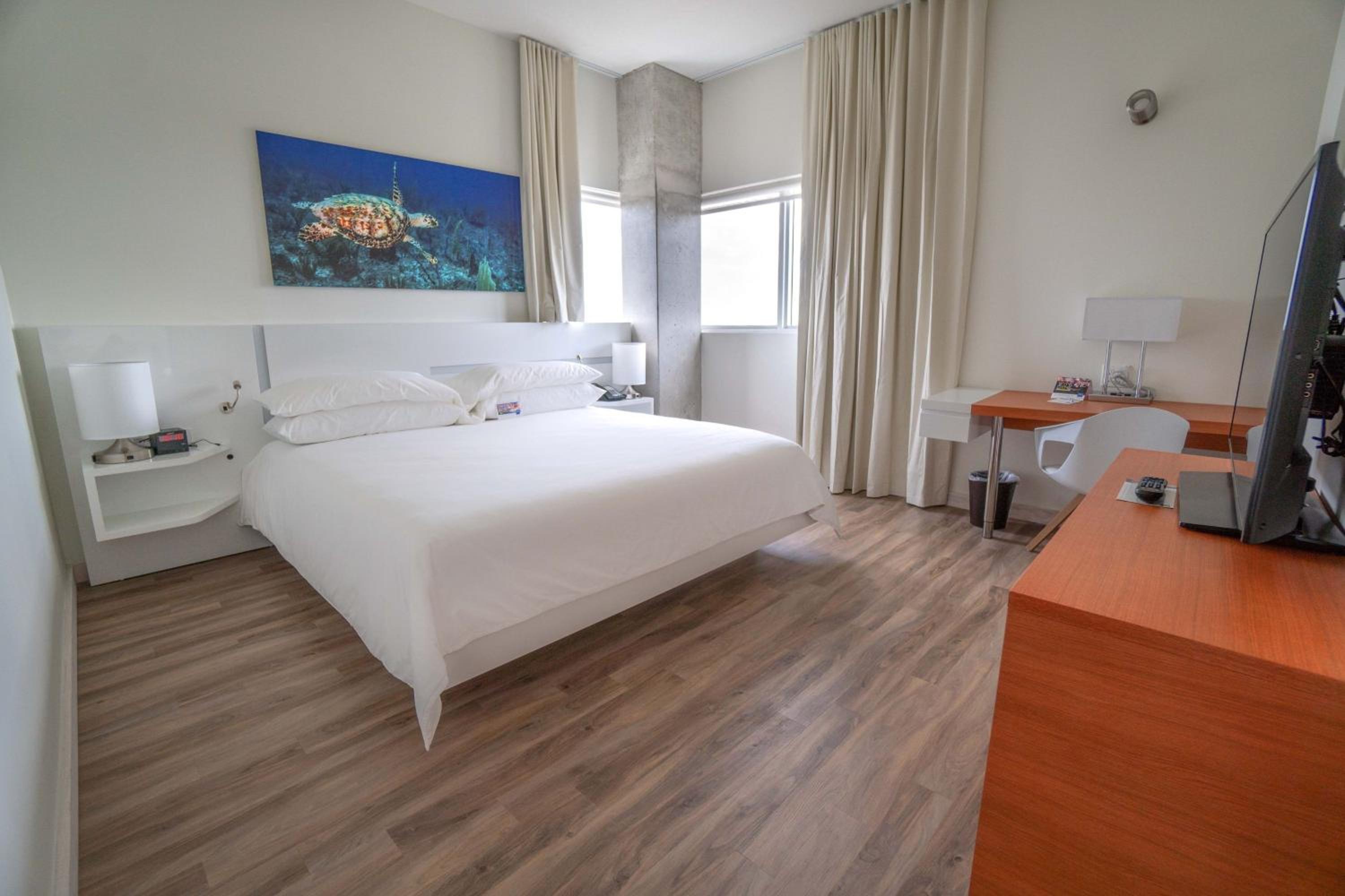 Quarto King Standard