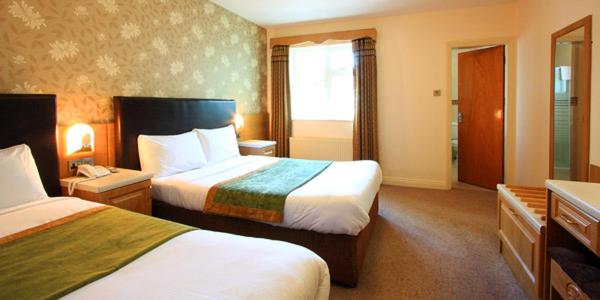 Twin Room photo 3