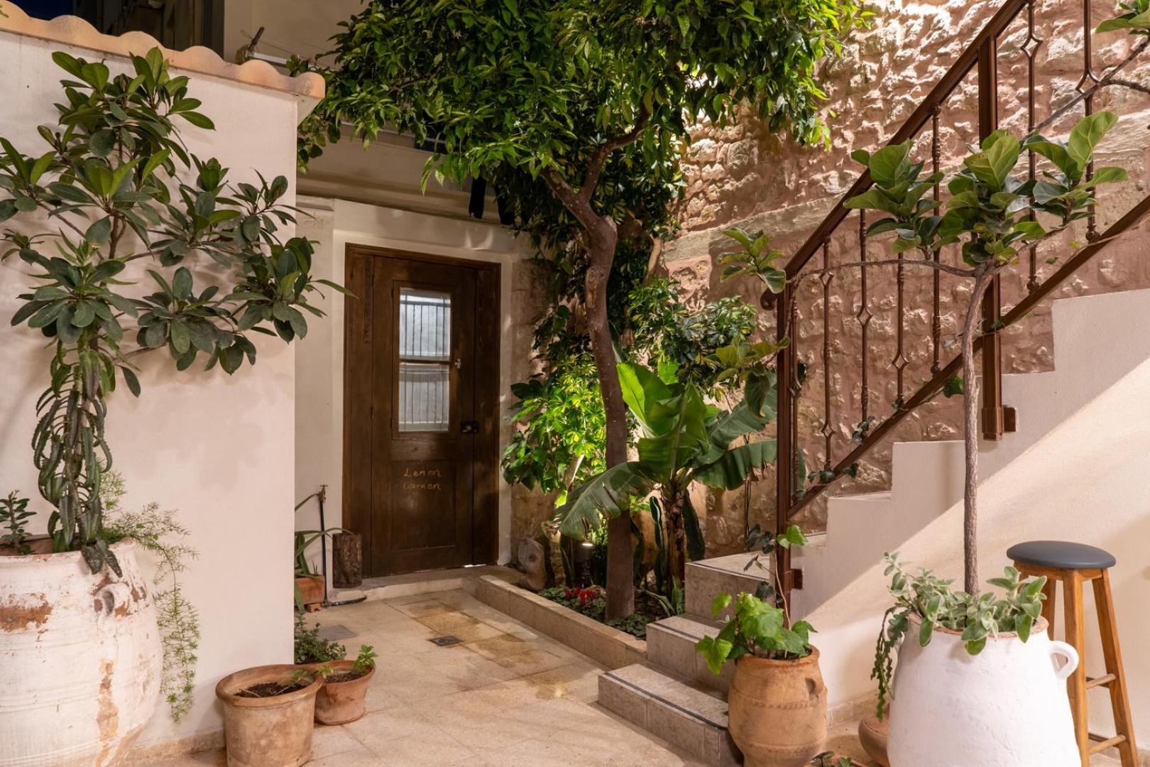 Bougainvillea - Photo 9