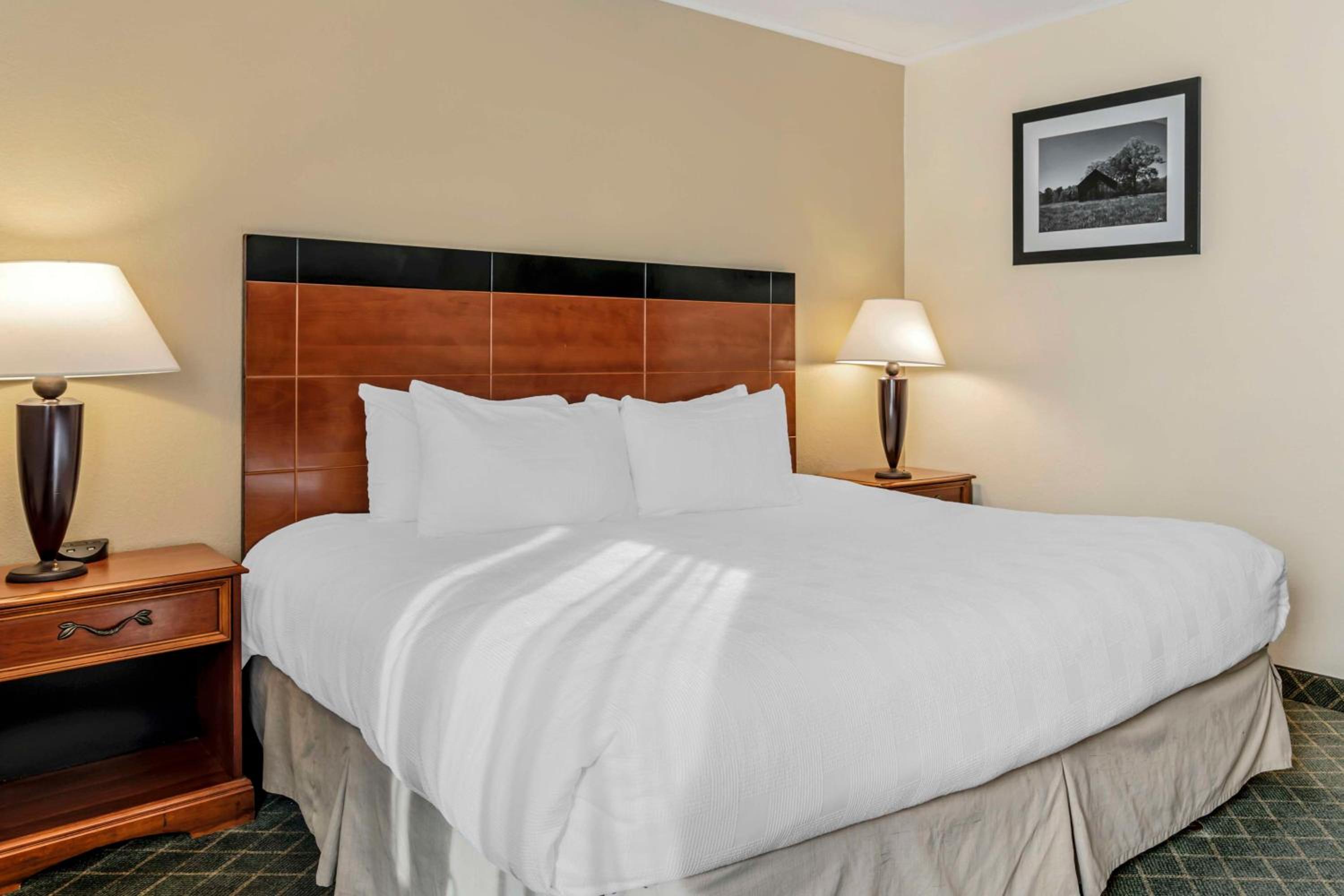 Double Room with Two Double Beds and Walk-In Shower - Disability Access/Non-Smoking photo 3