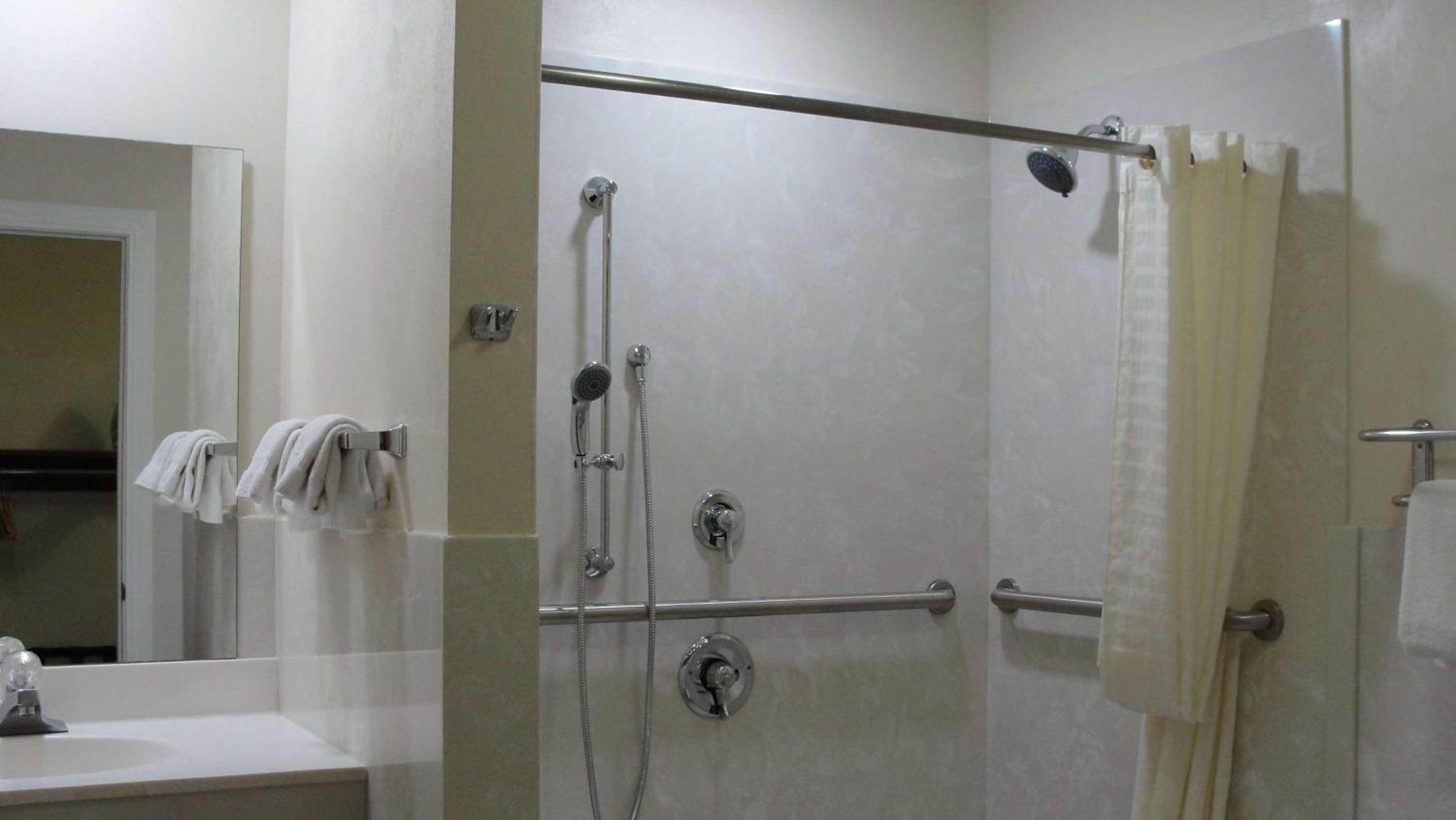 Queen Room with Roll-In Shower - Mobility Accessible/Non-Smoking - Photo 3