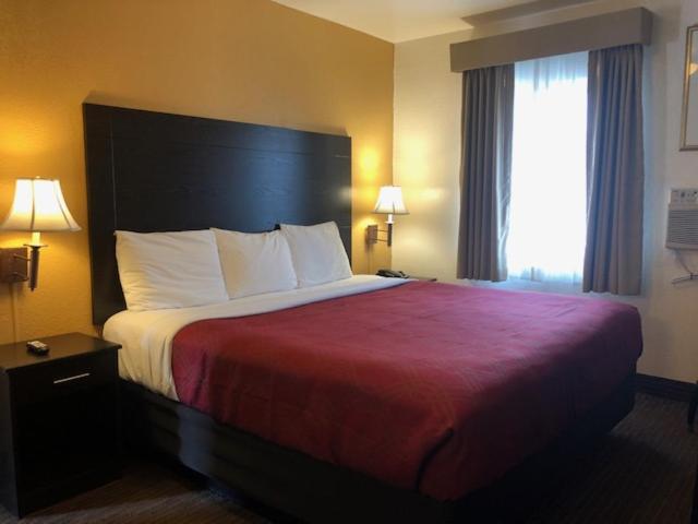 King Room - Non-Smoking - Photo 1