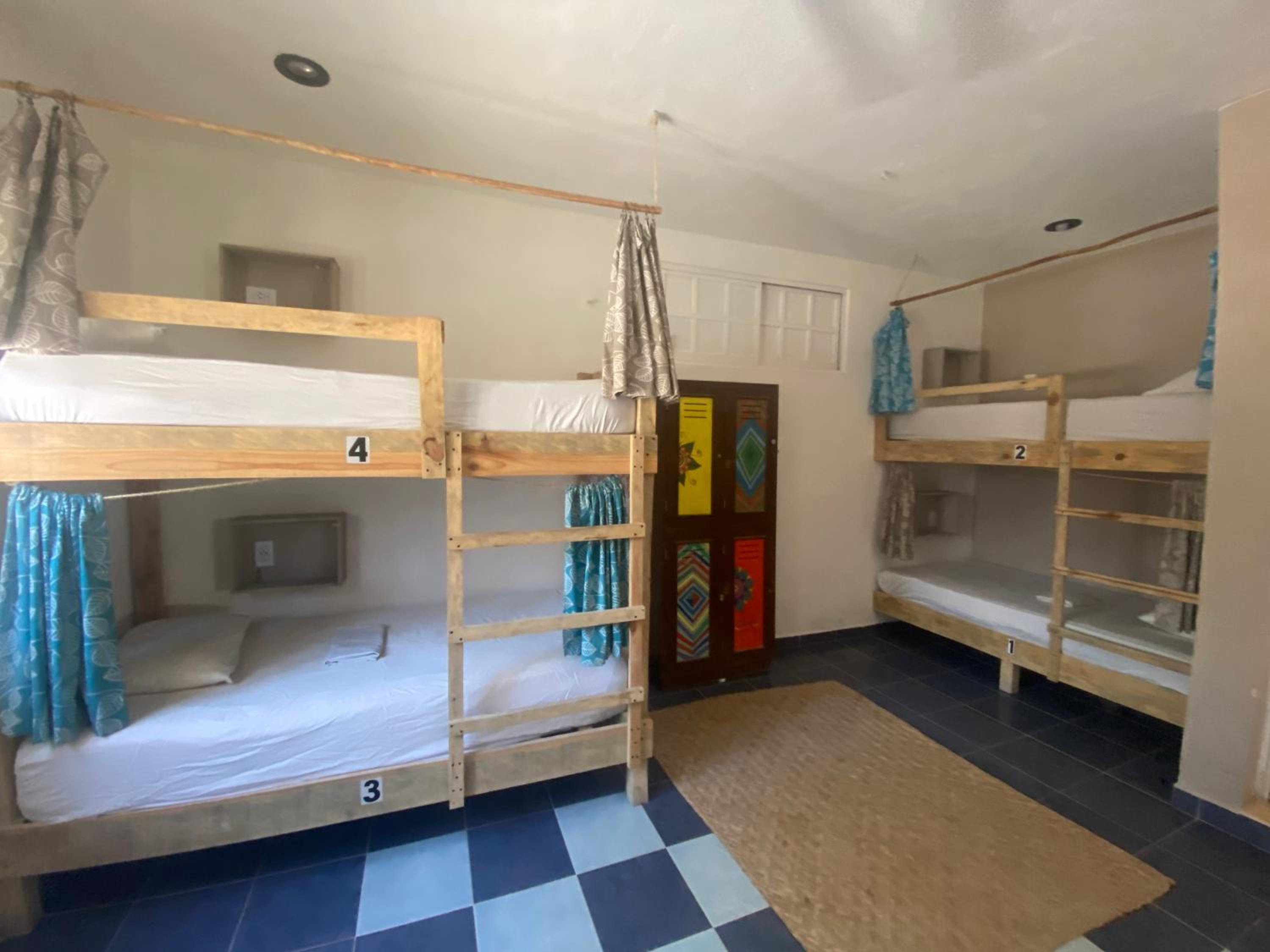 Single Bed in Mixed Dormitory Room photo 1