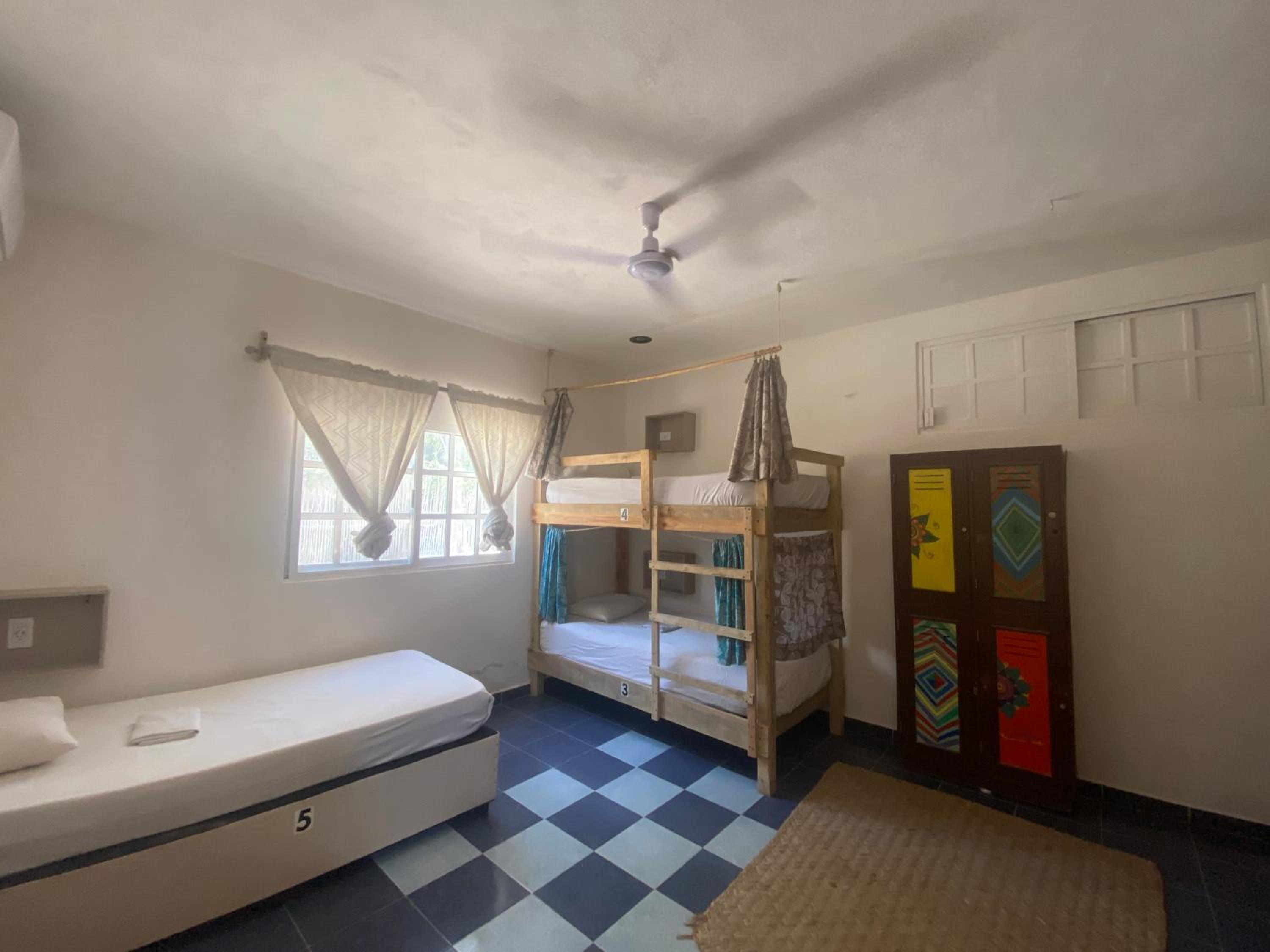 Bunk Bed in Mixed Dormitory Room photo 3