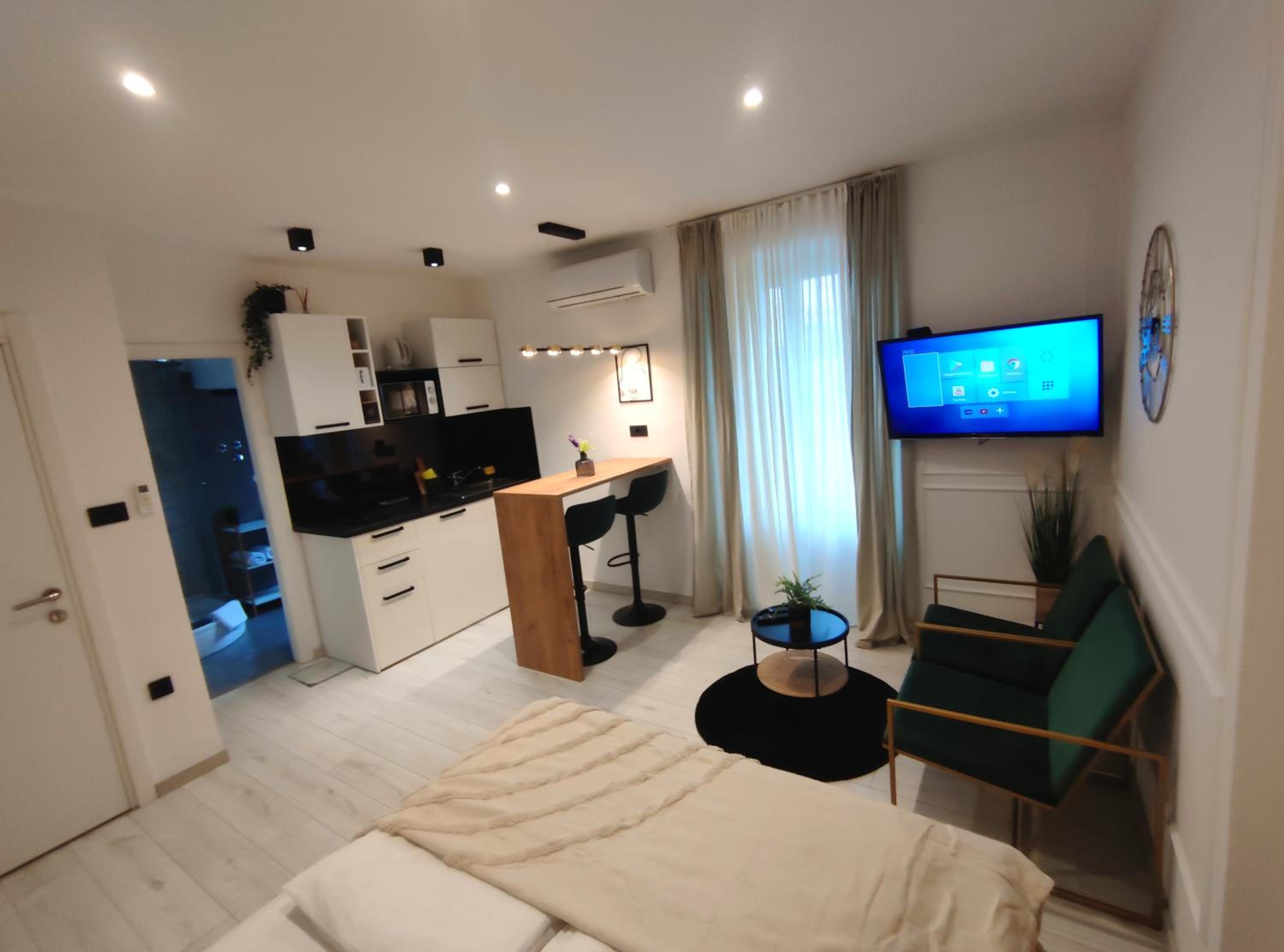 Deluxe Studio - Photo 19