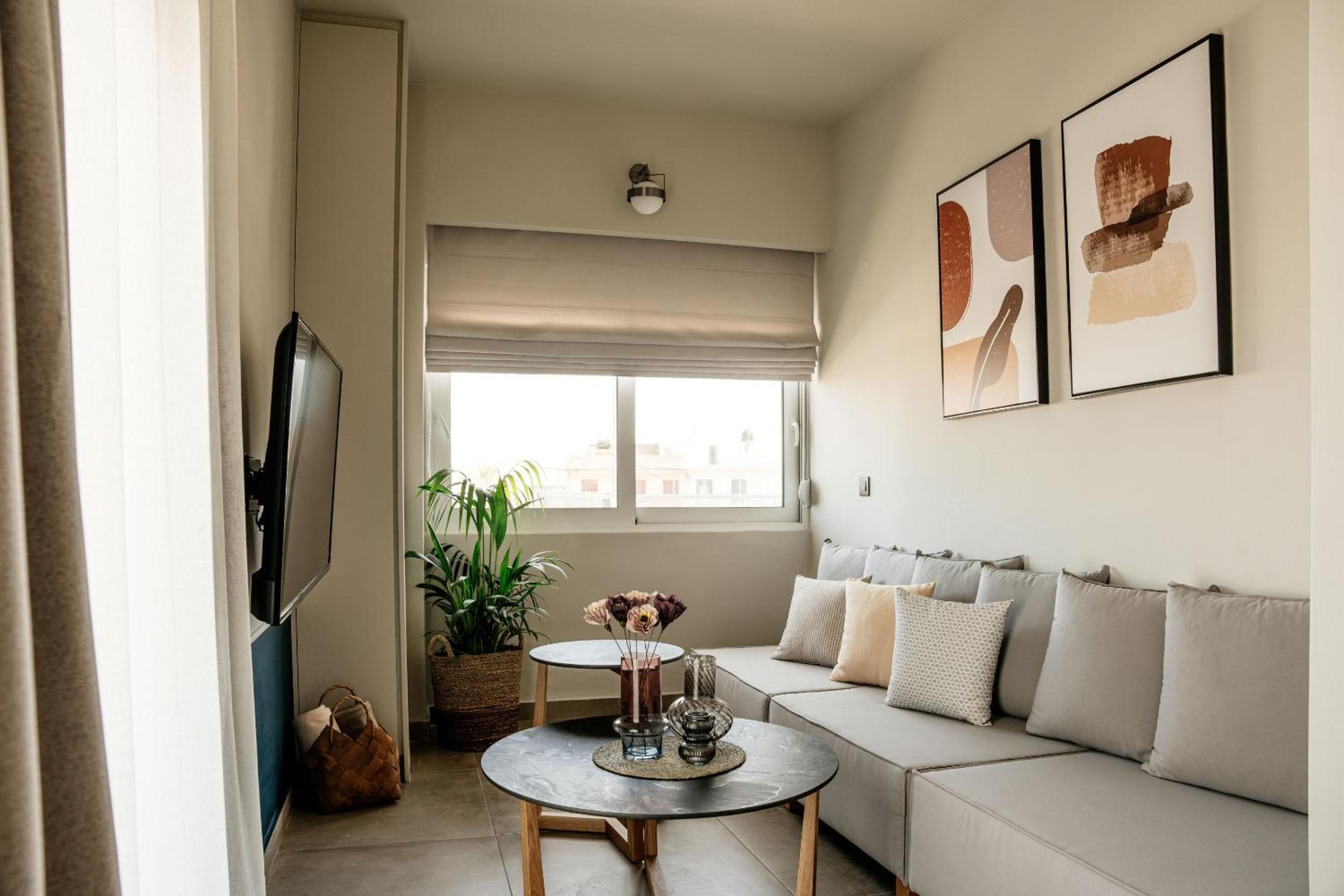 One-Bedroom Apartment (The Roomy) photo 1