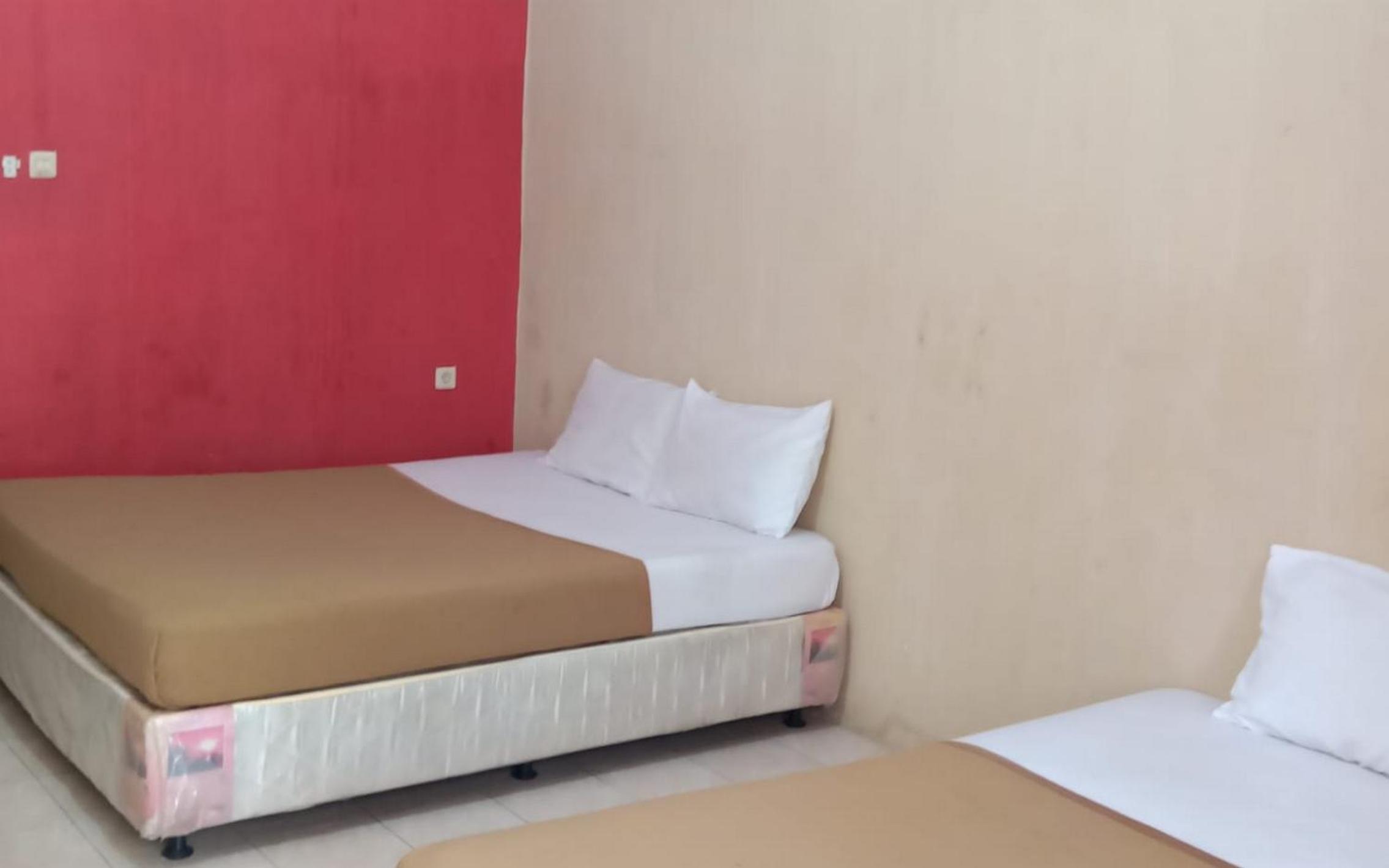 Twin Room photo 1