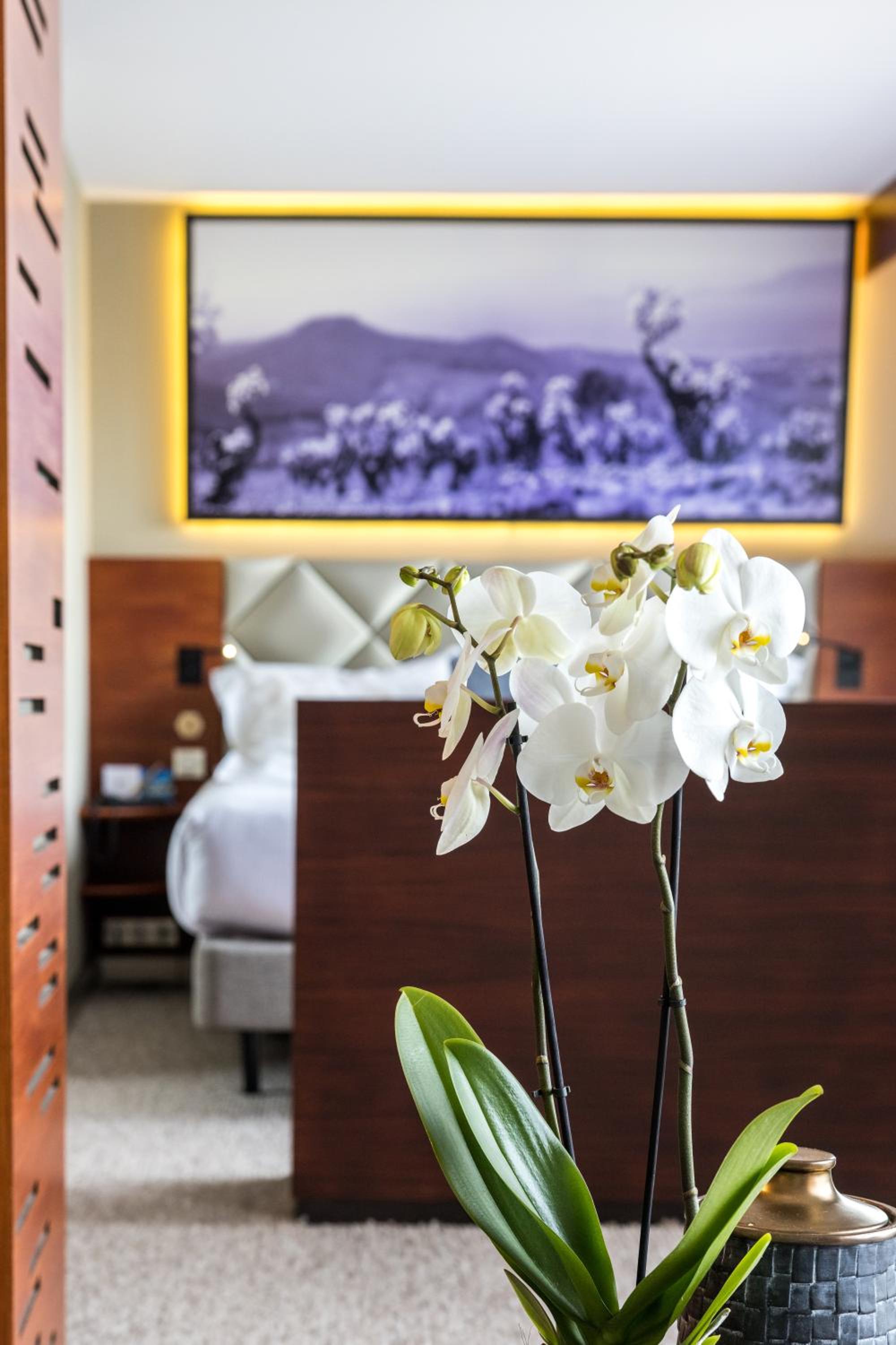 Deluxe Suite - Photo 7