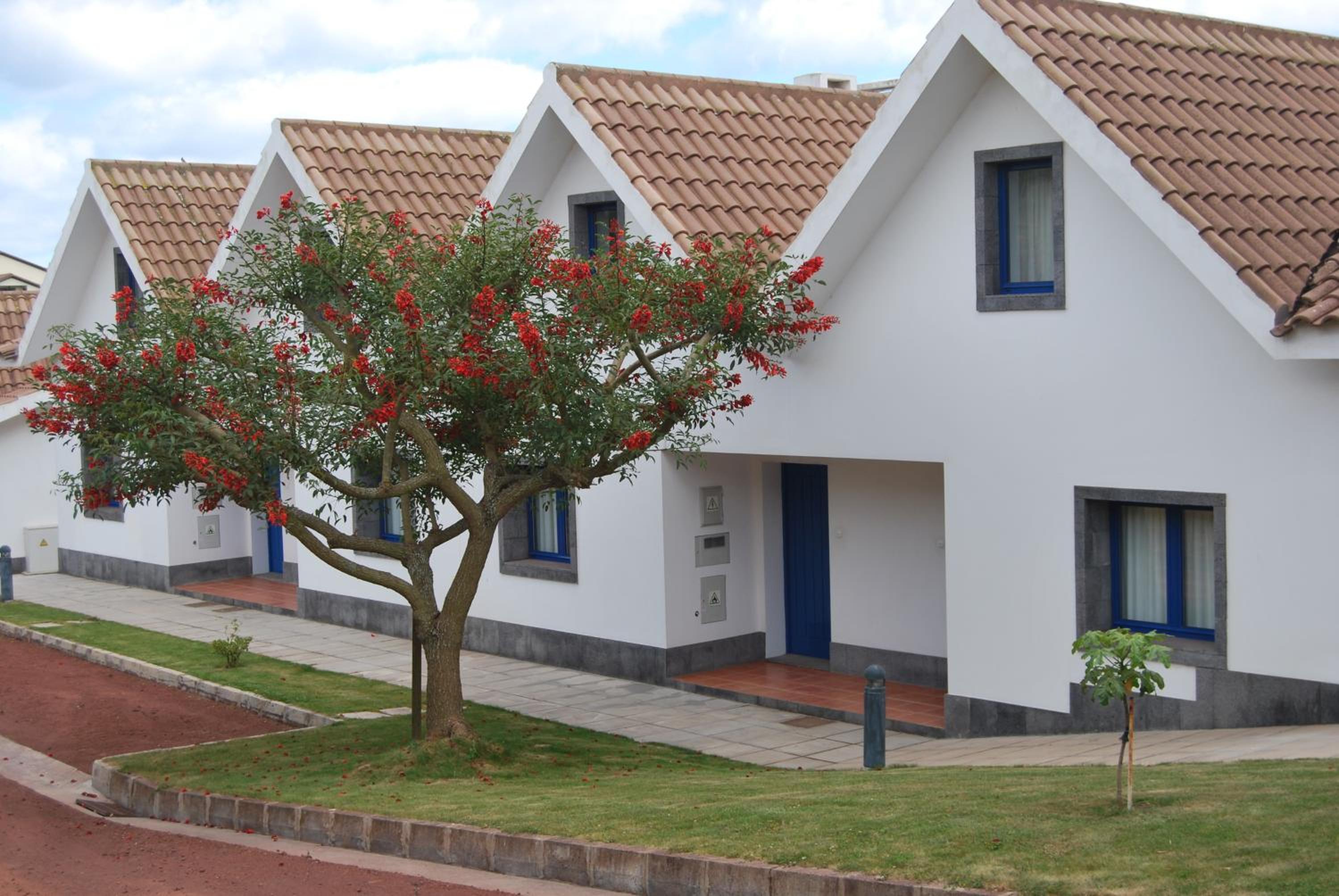 Villa - Photo 3