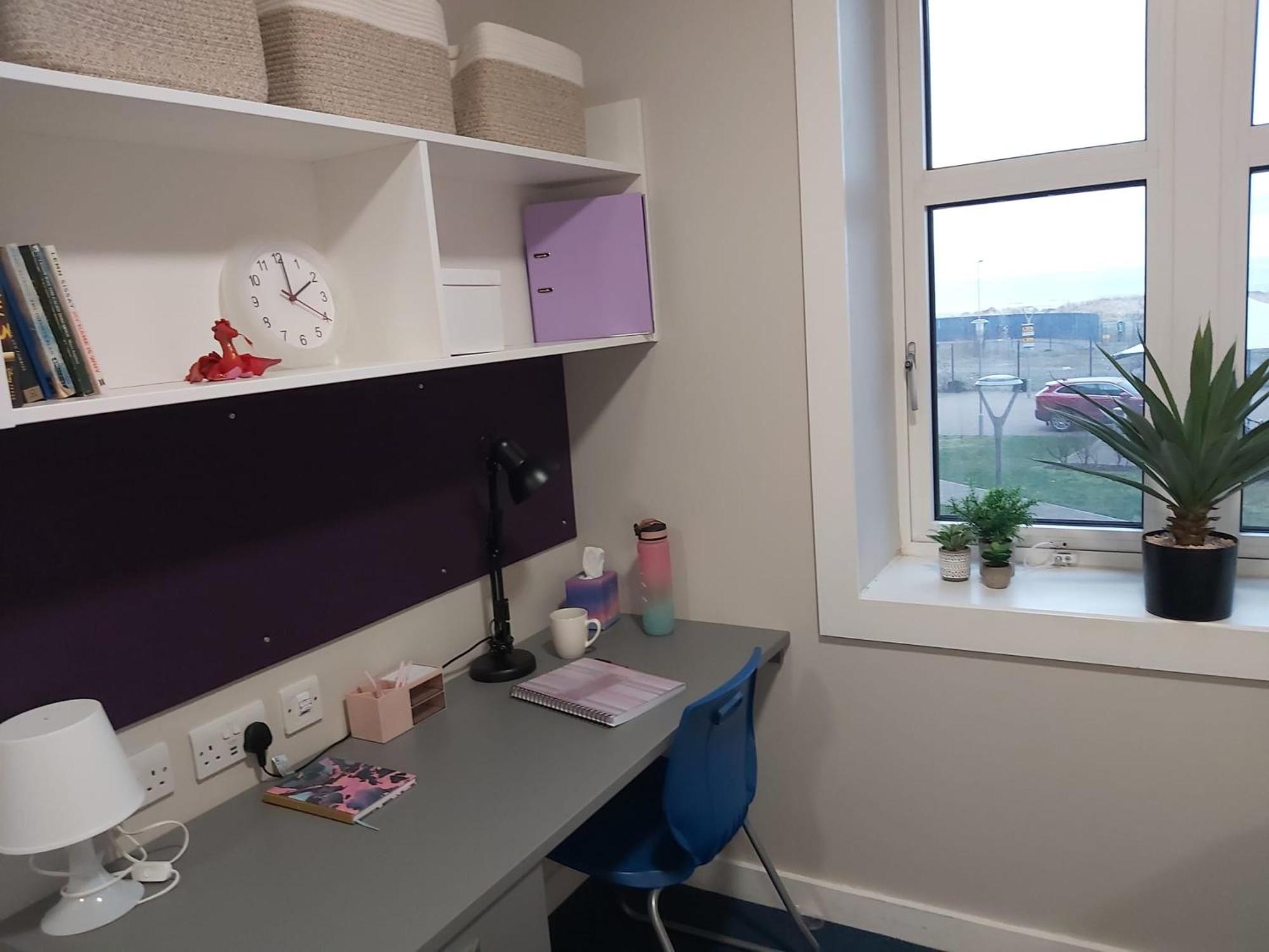 Single Room photo 3