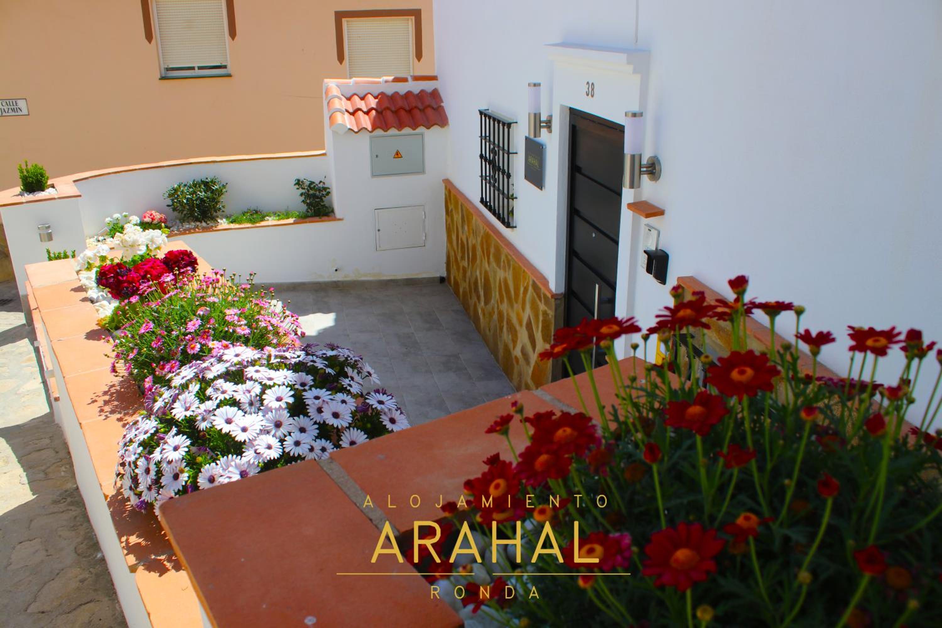 Apartamento - Planta Baja