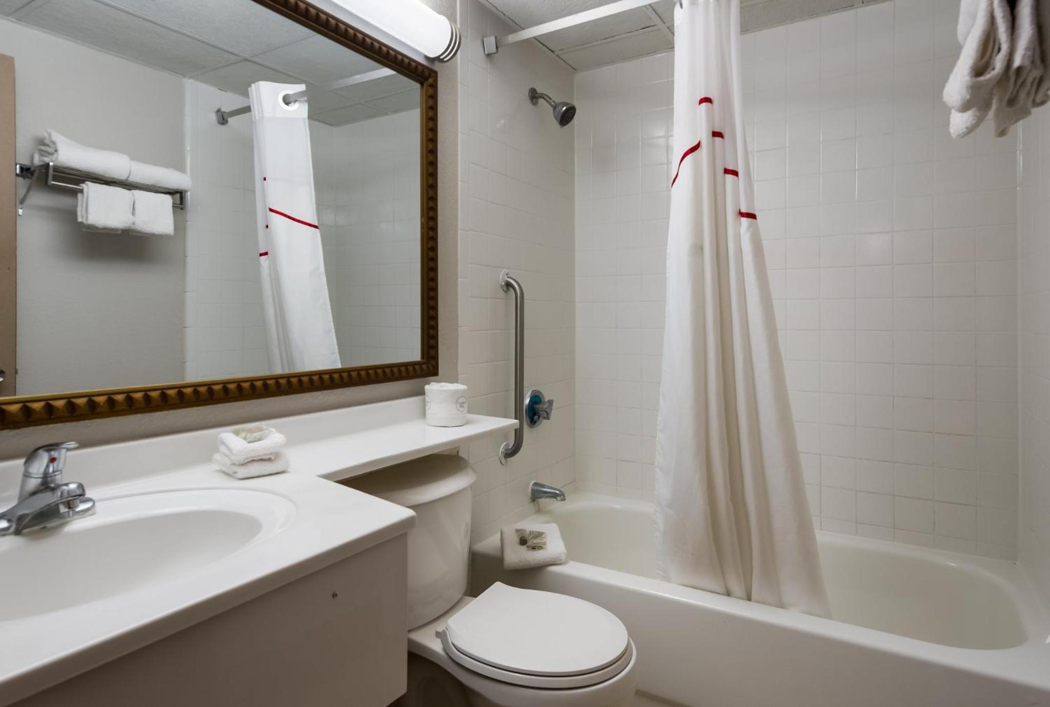 King Suite photo 2