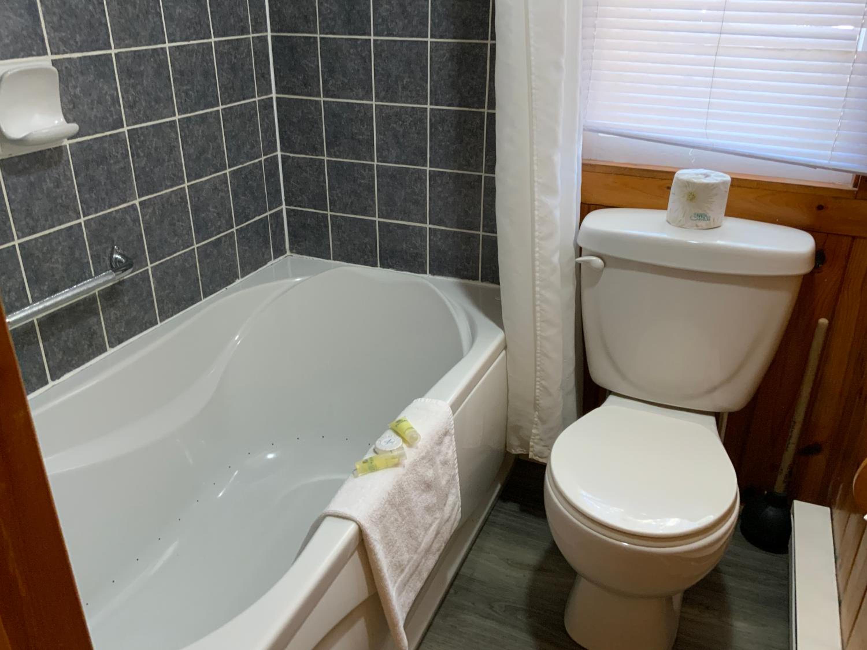 One-Bedroom Suite - Mapleview 1