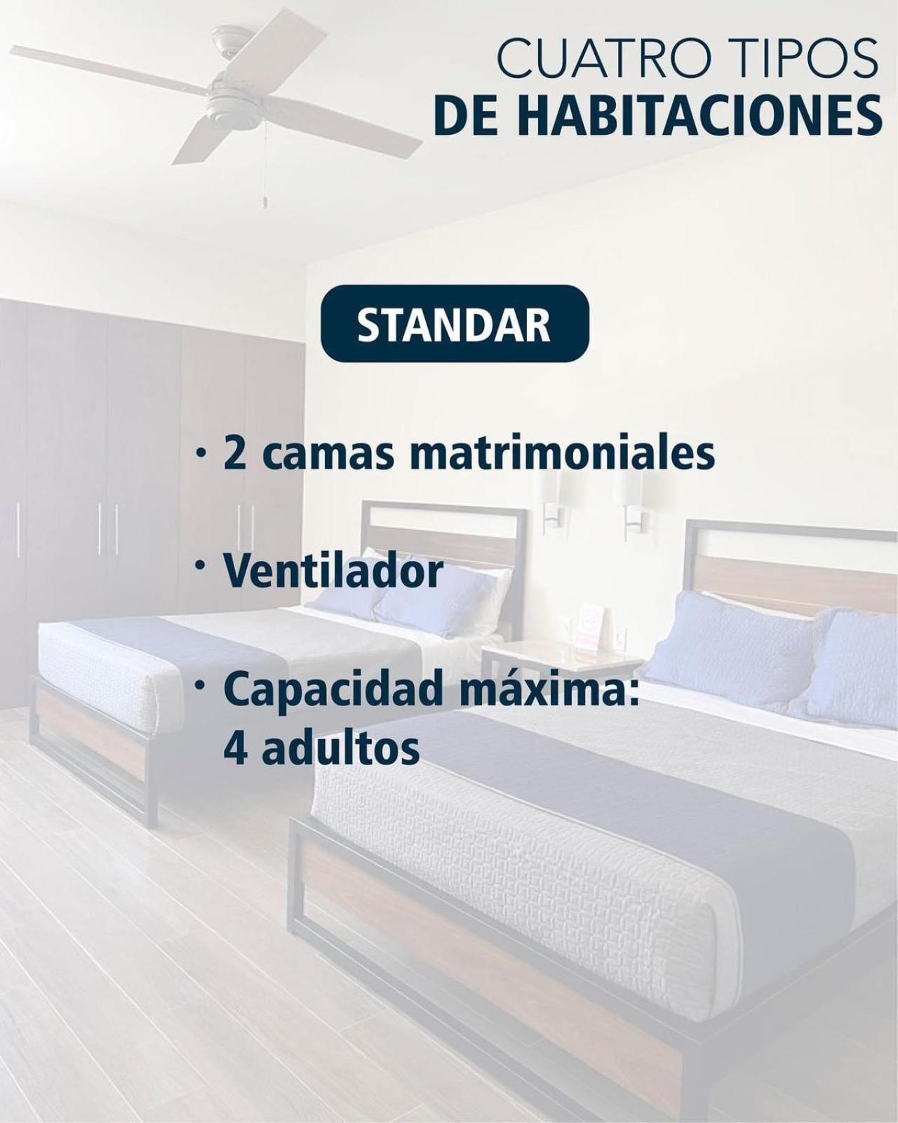 Twin Room - Photo 5
