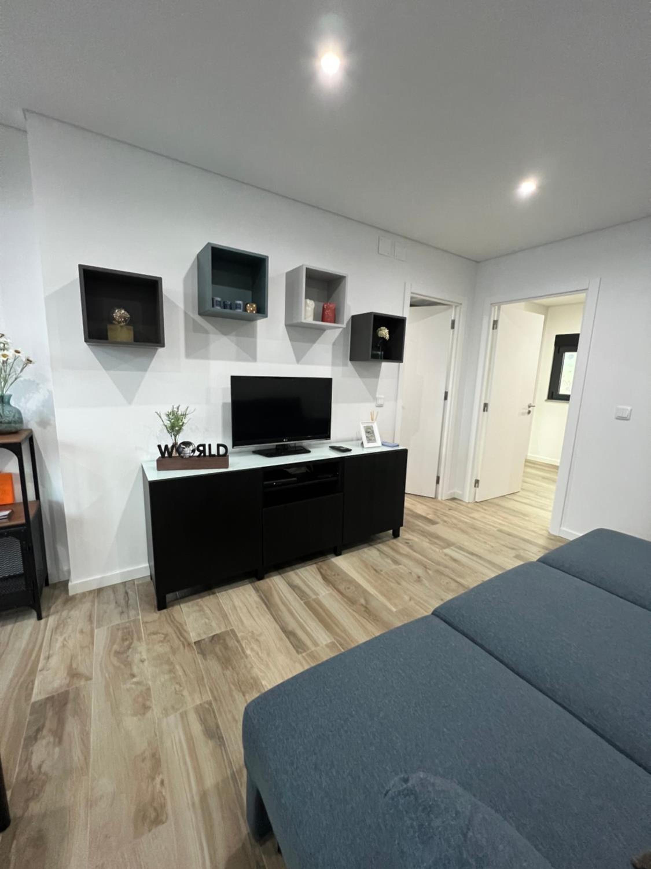 One-Bedroom Apartment photo 3