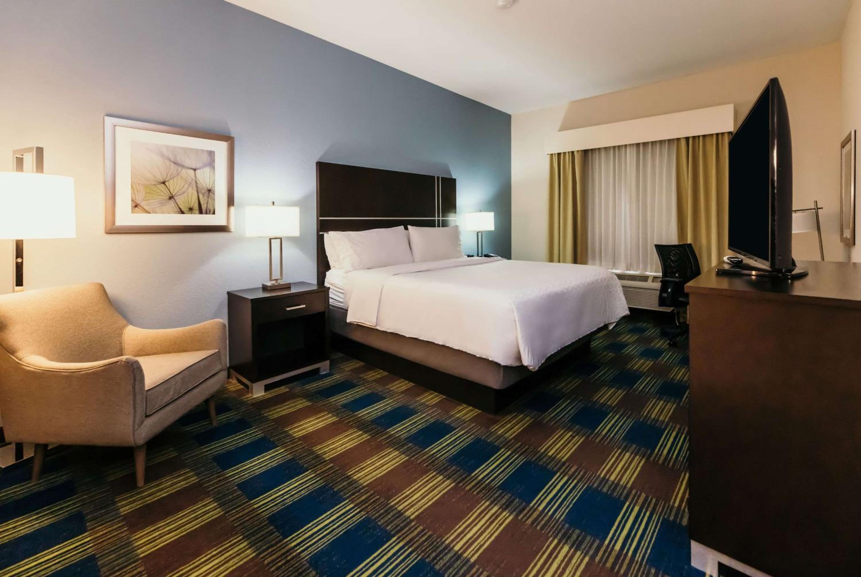 King Room with Mobility Access and Bathtub with Grab Bars, Non-Smoking - Photo 1