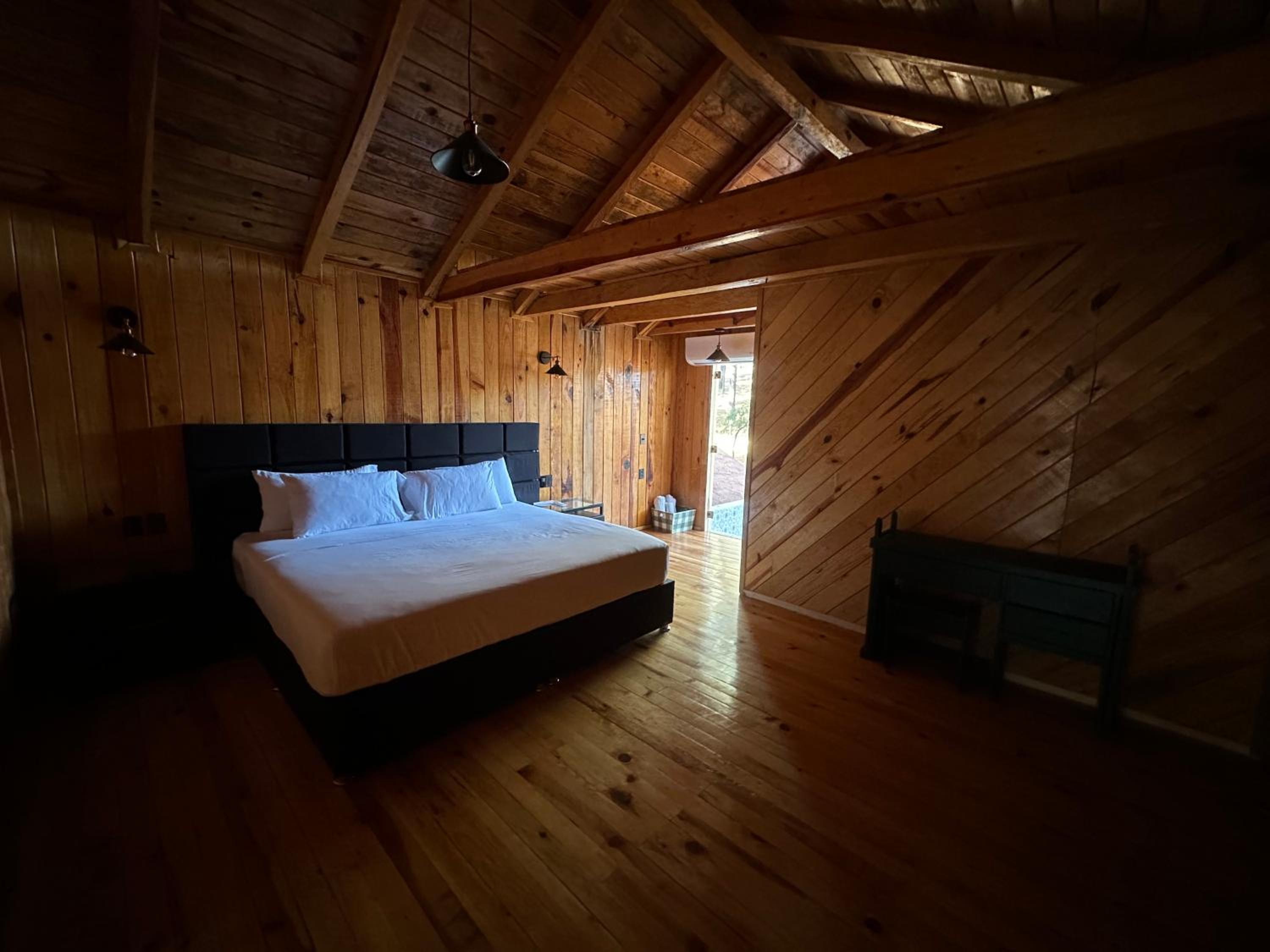 Junior Suite with Terrace - Photo 19