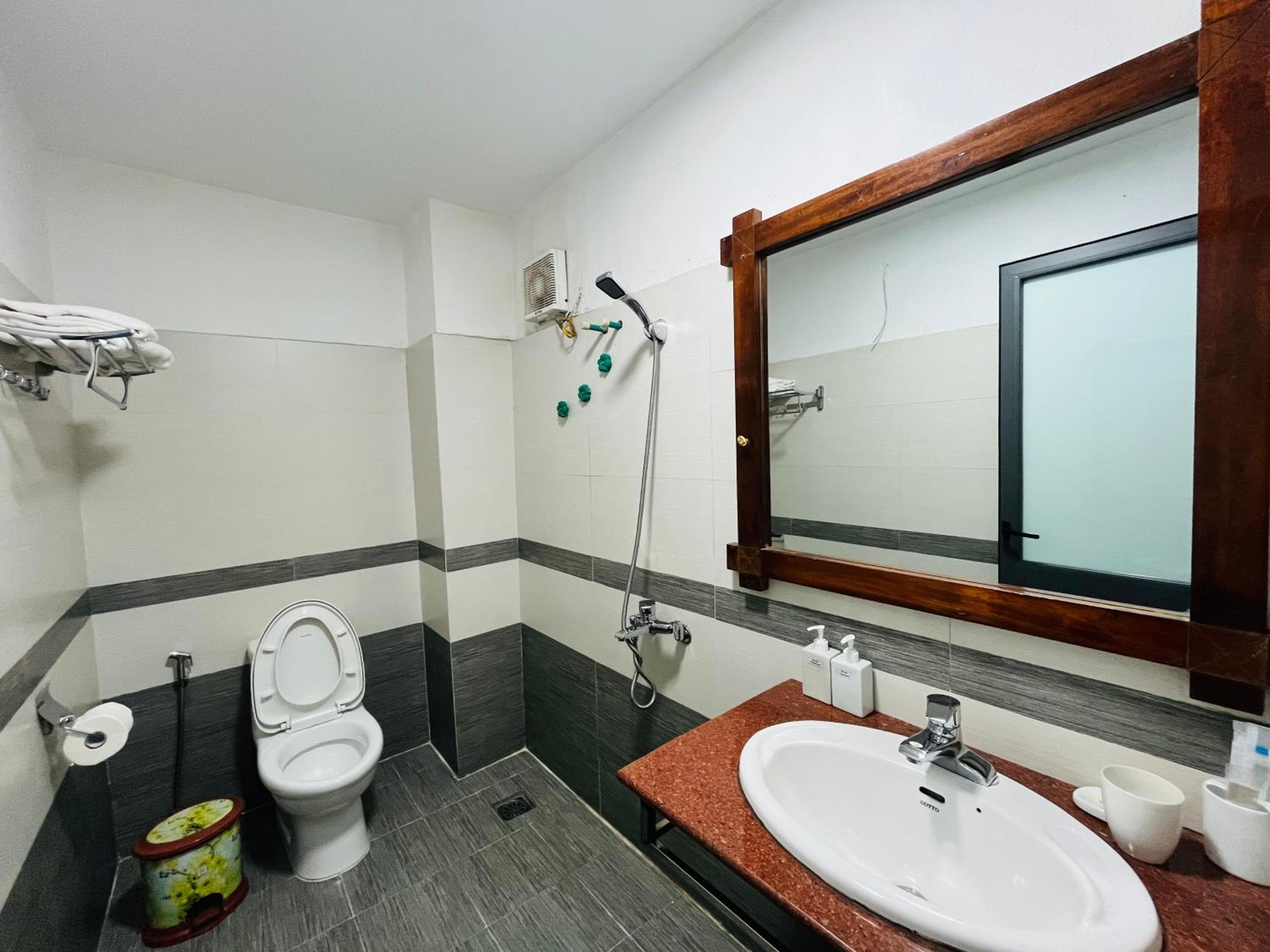 Deluxe Double or Twin Room photo 2