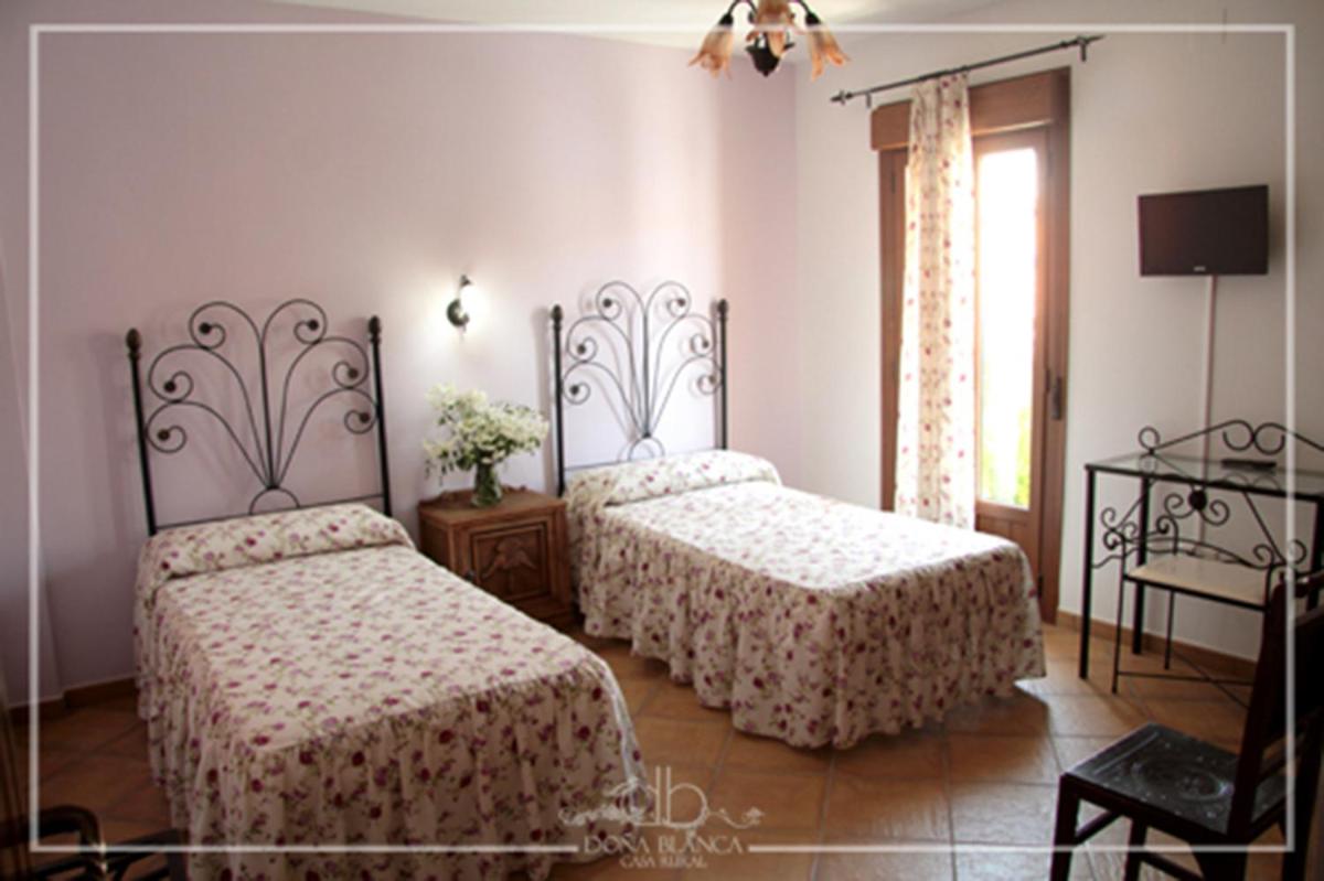 Twin Room photo 3