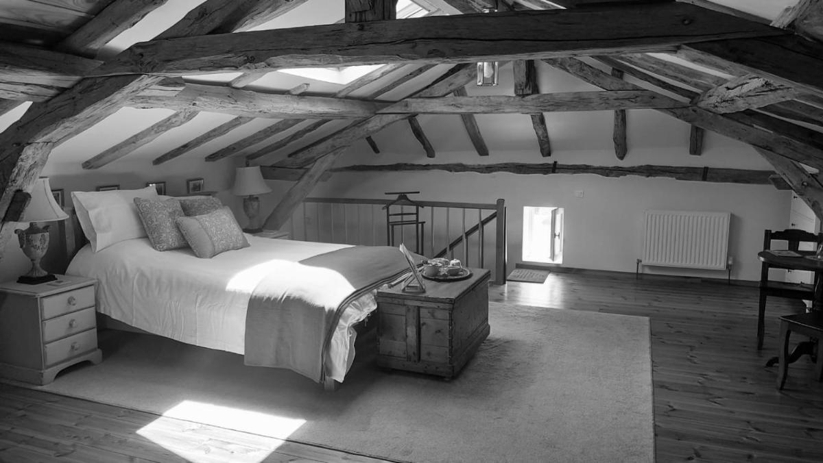 King Room photo 1