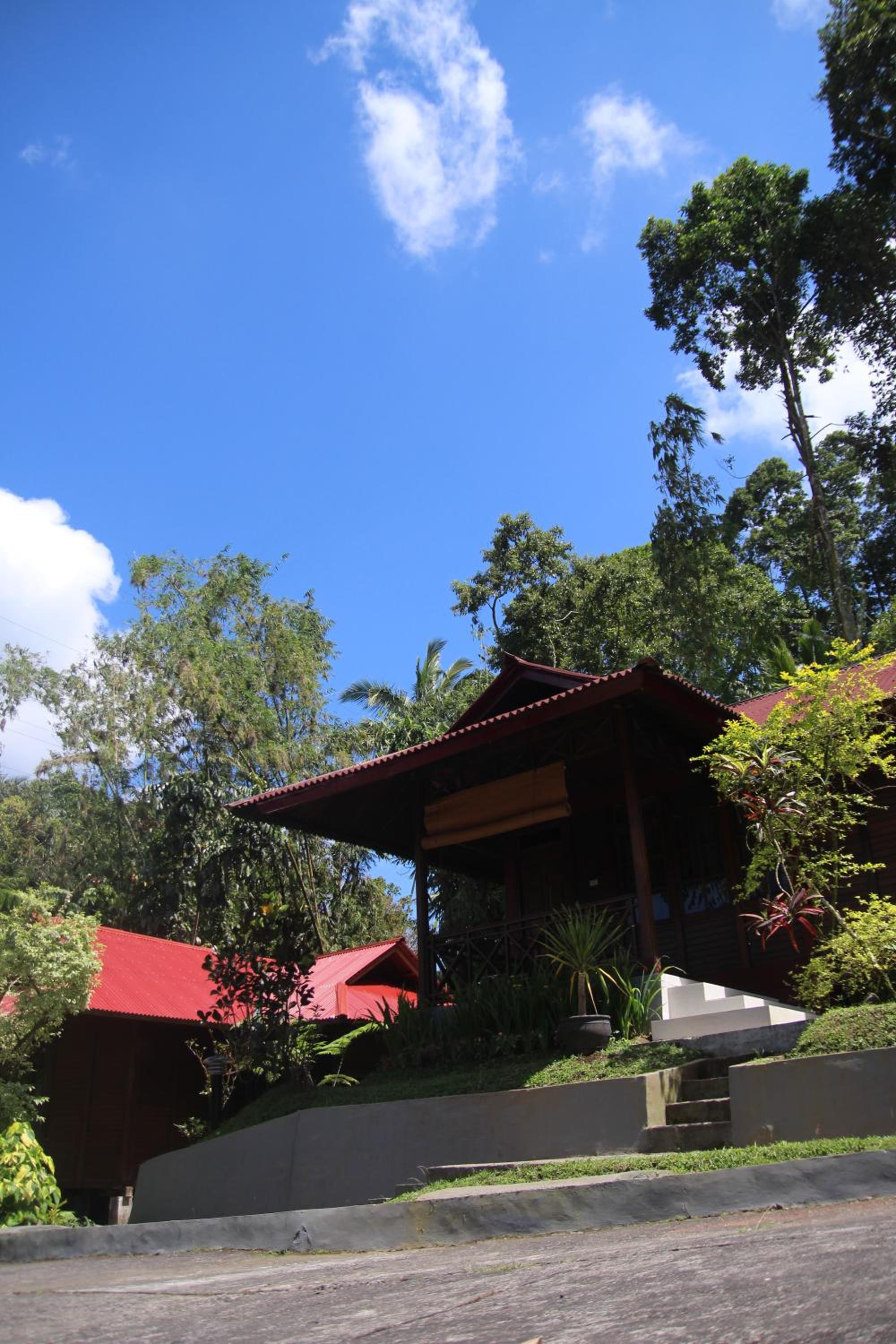 Grand Suite - Photo 8