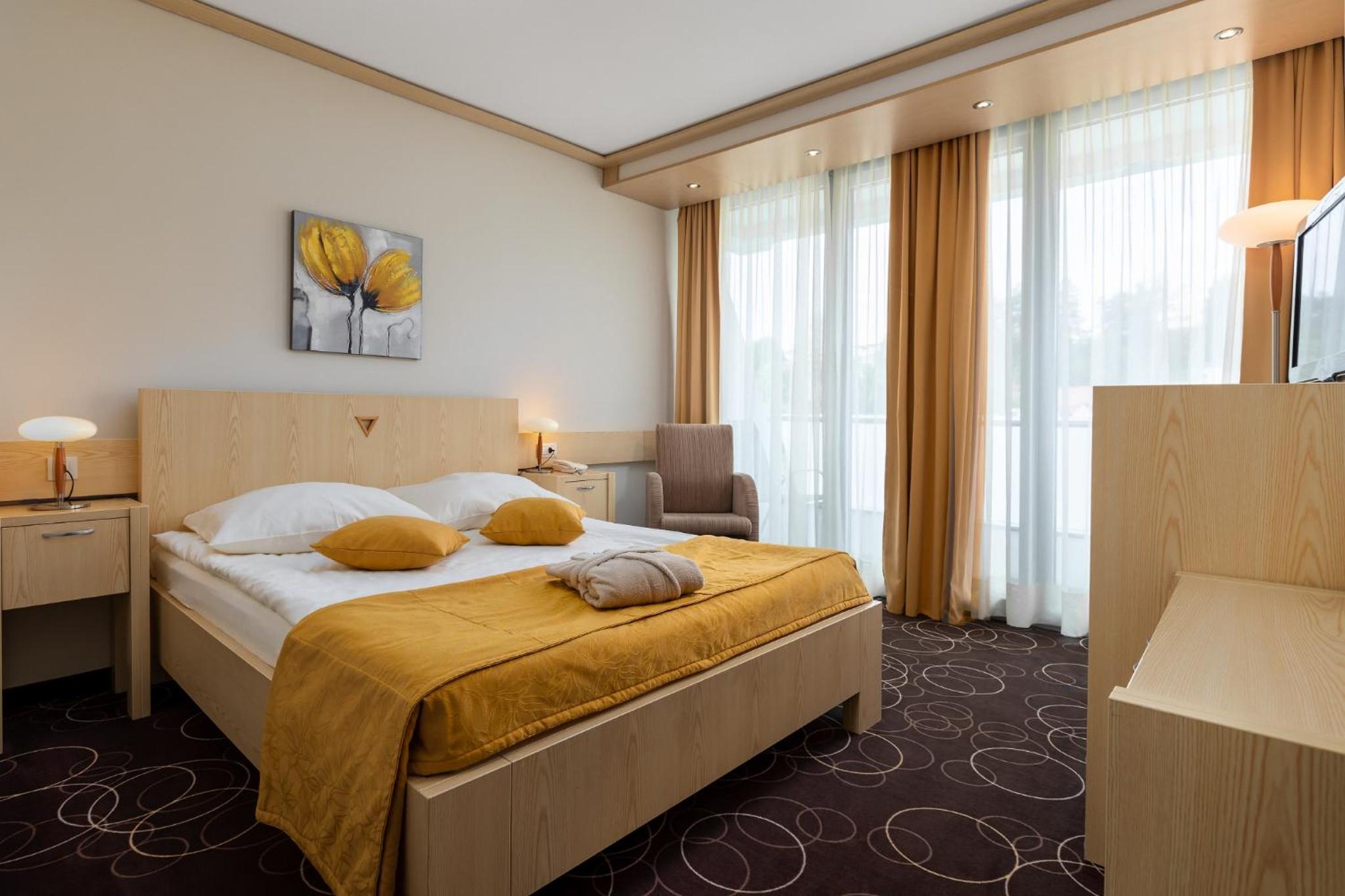 Single Room with Mountain View