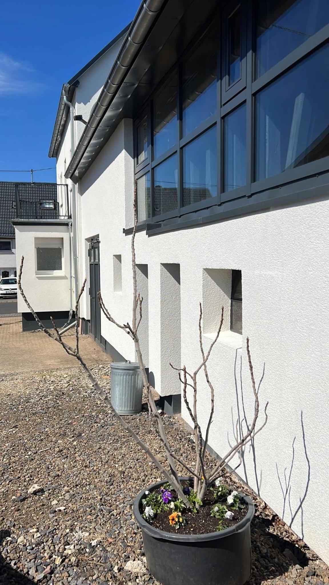 Five-Bedroom House photo 2