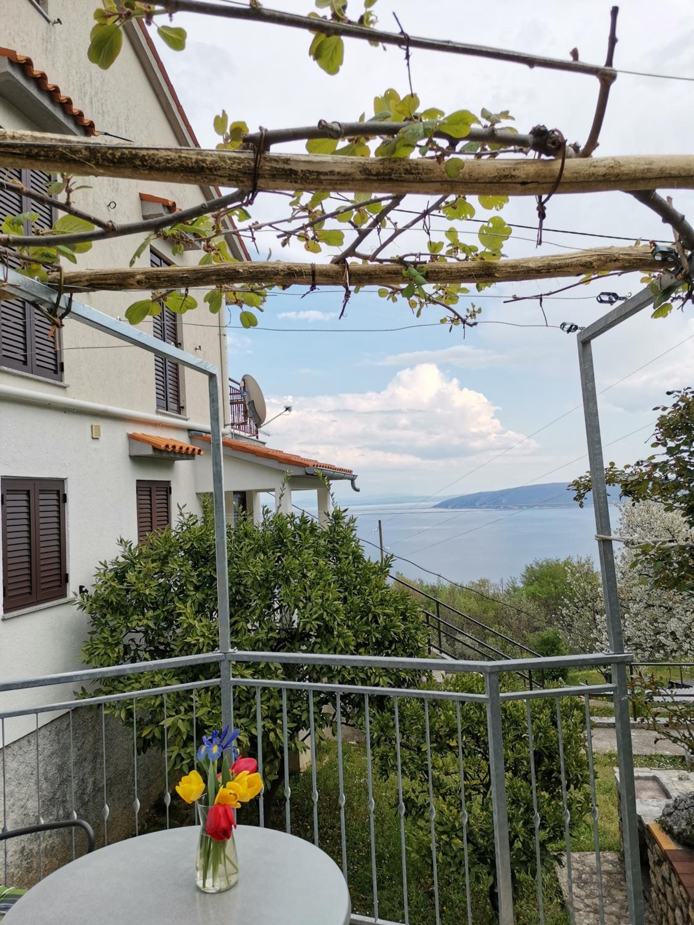 Apartment with Garden View photo 1