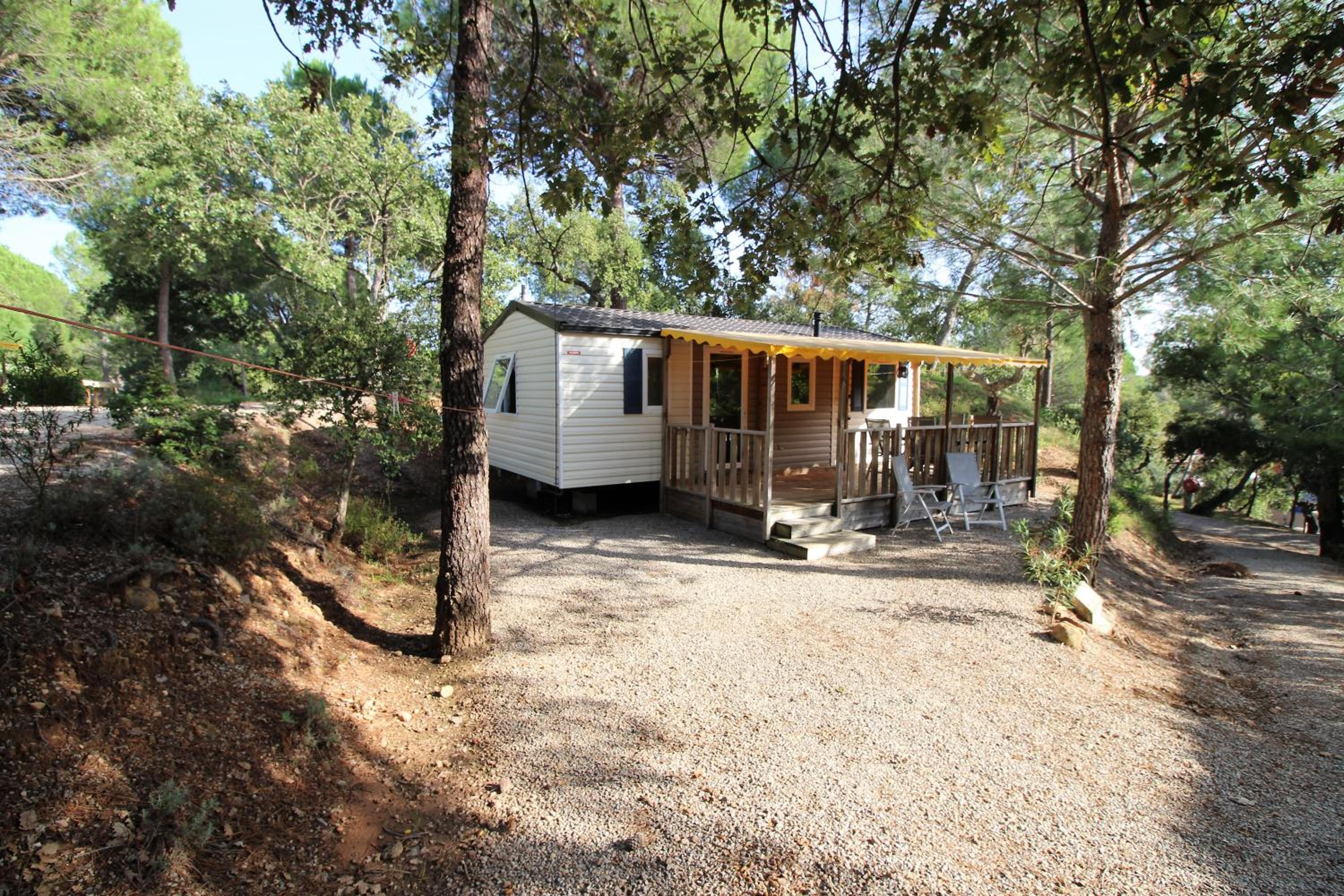 Three-Bedroom Chalet photo 2