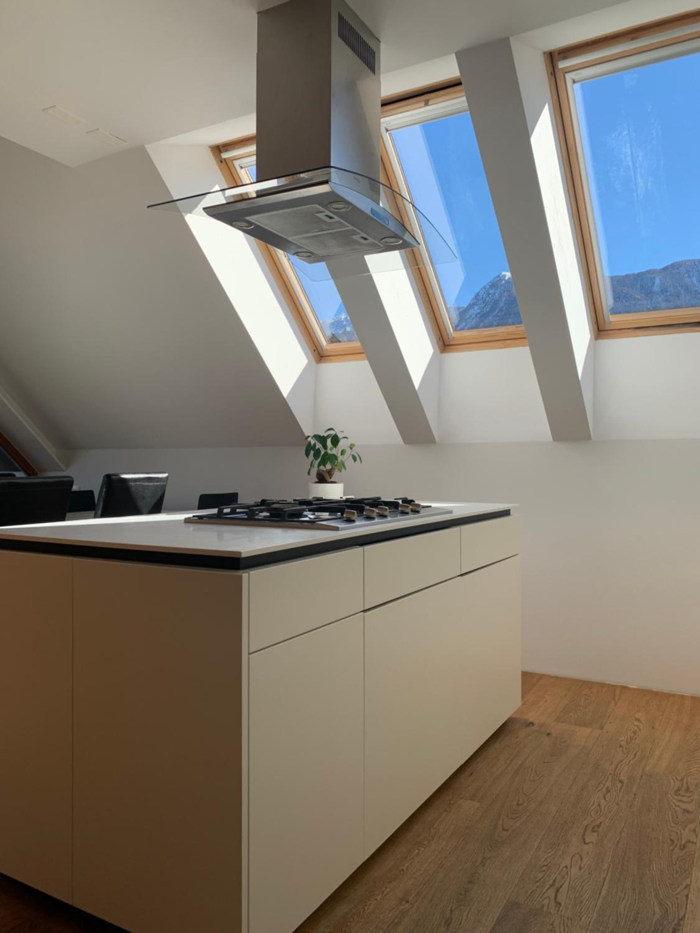 Penthouse Apartment