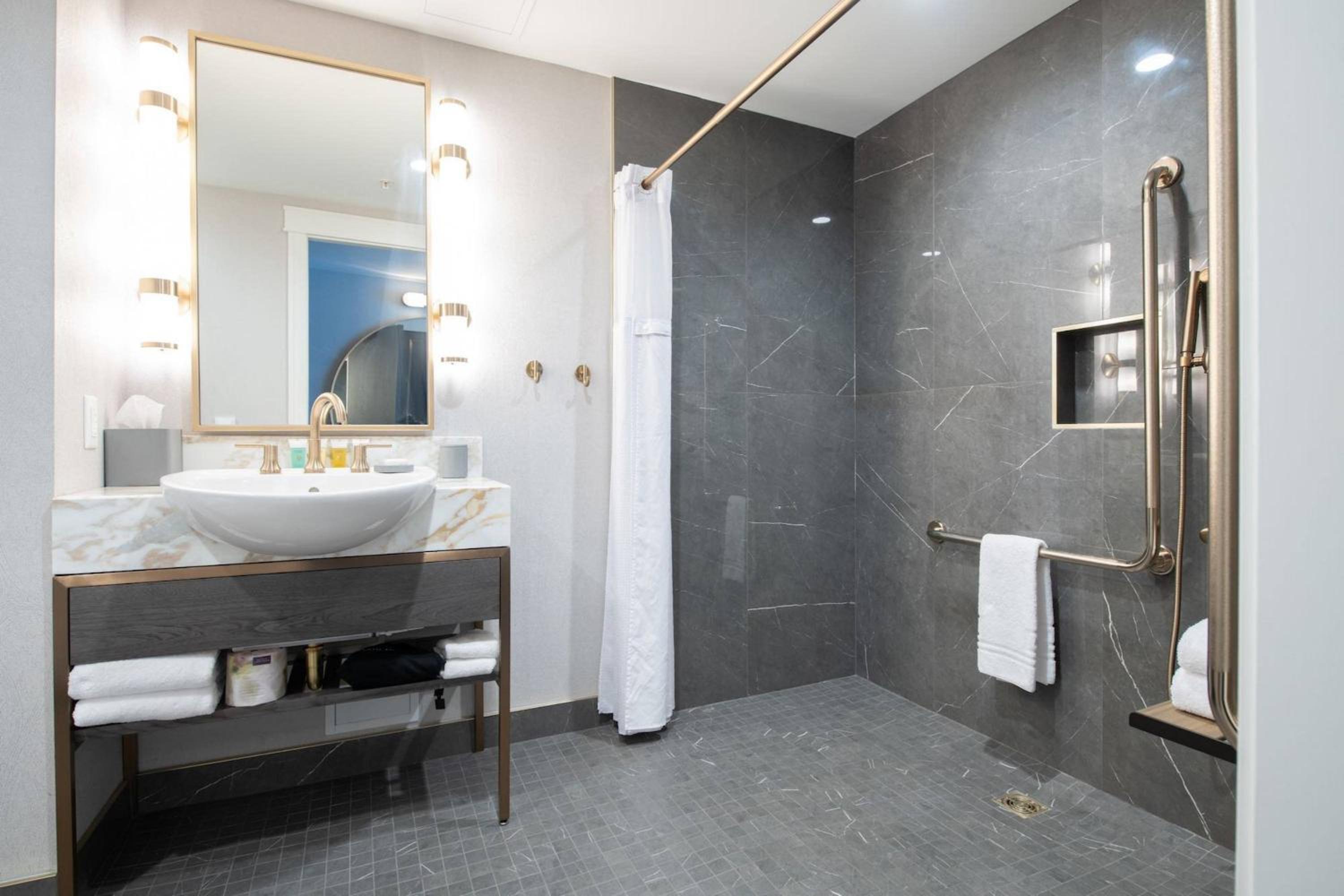 Accessible Room, 1 King Bed, Roll-In Shower - Photo 5