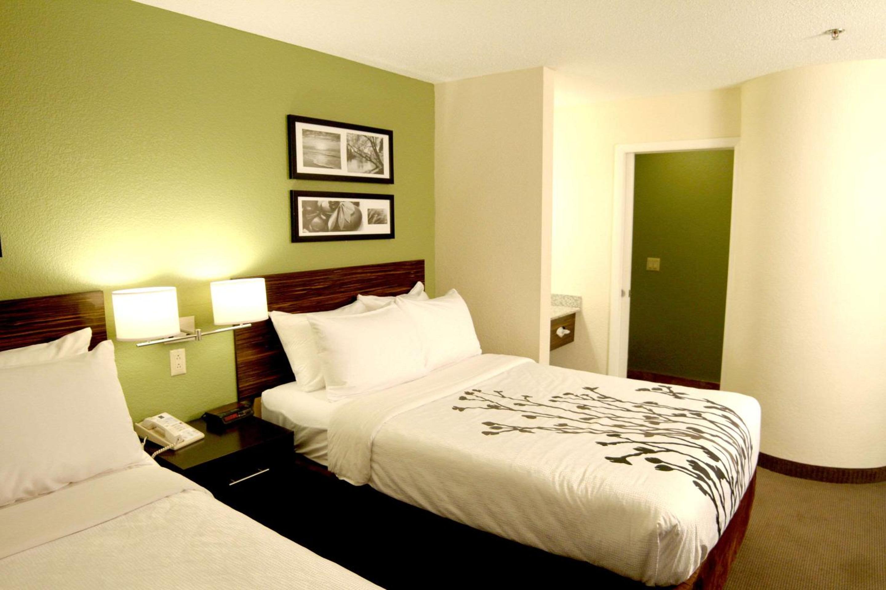 Standard Double Room with Two Double Beds - Non-Smoking - Photo 2