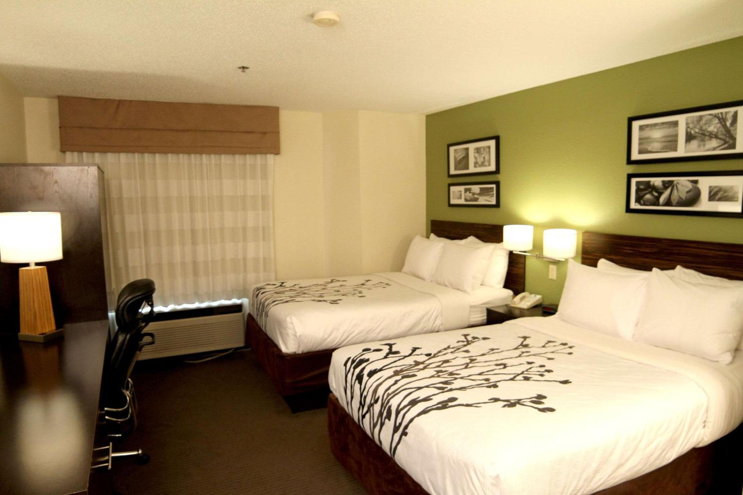 Standard Double Room with Two Double Beds - Non-Smoking - Photo 1