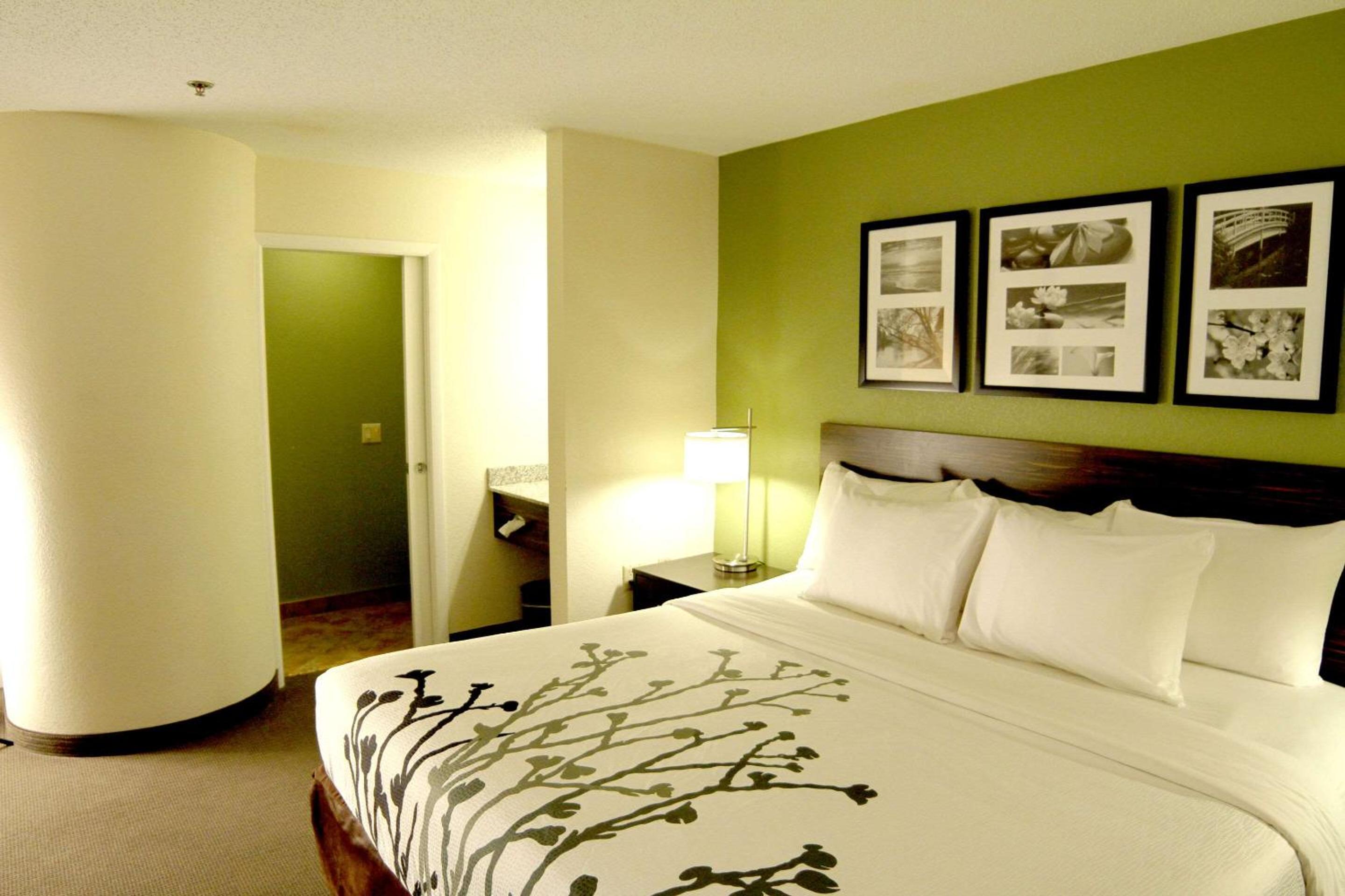 King Room - Non-Smoking - Photo 3