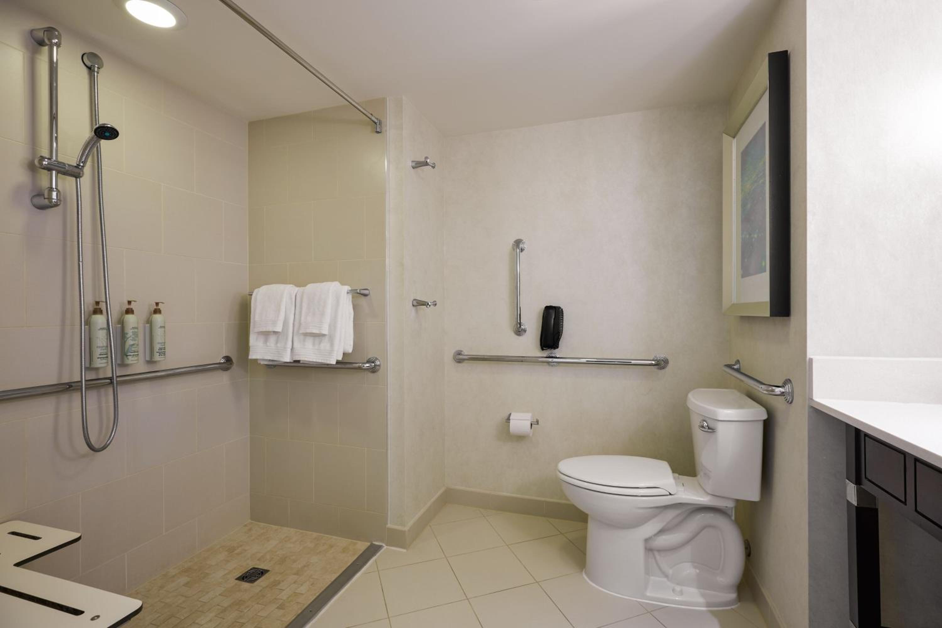 King Room with Roll-in Shower - Mobility Accessible - Photo 2