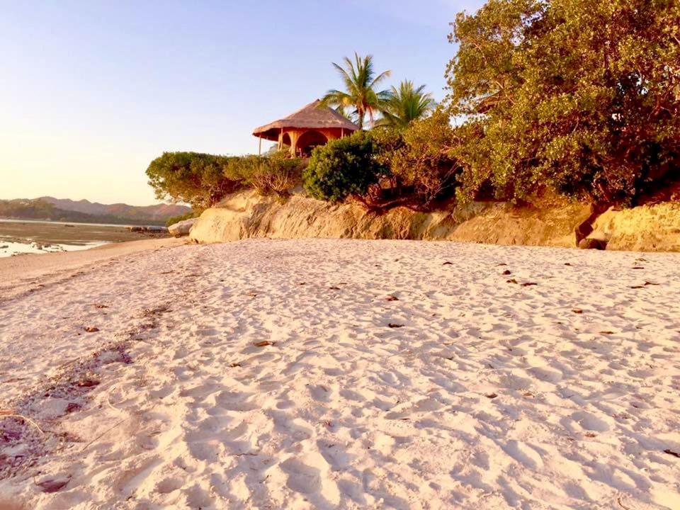 Deluxe Double or Twin Room with Ocean View photo 2