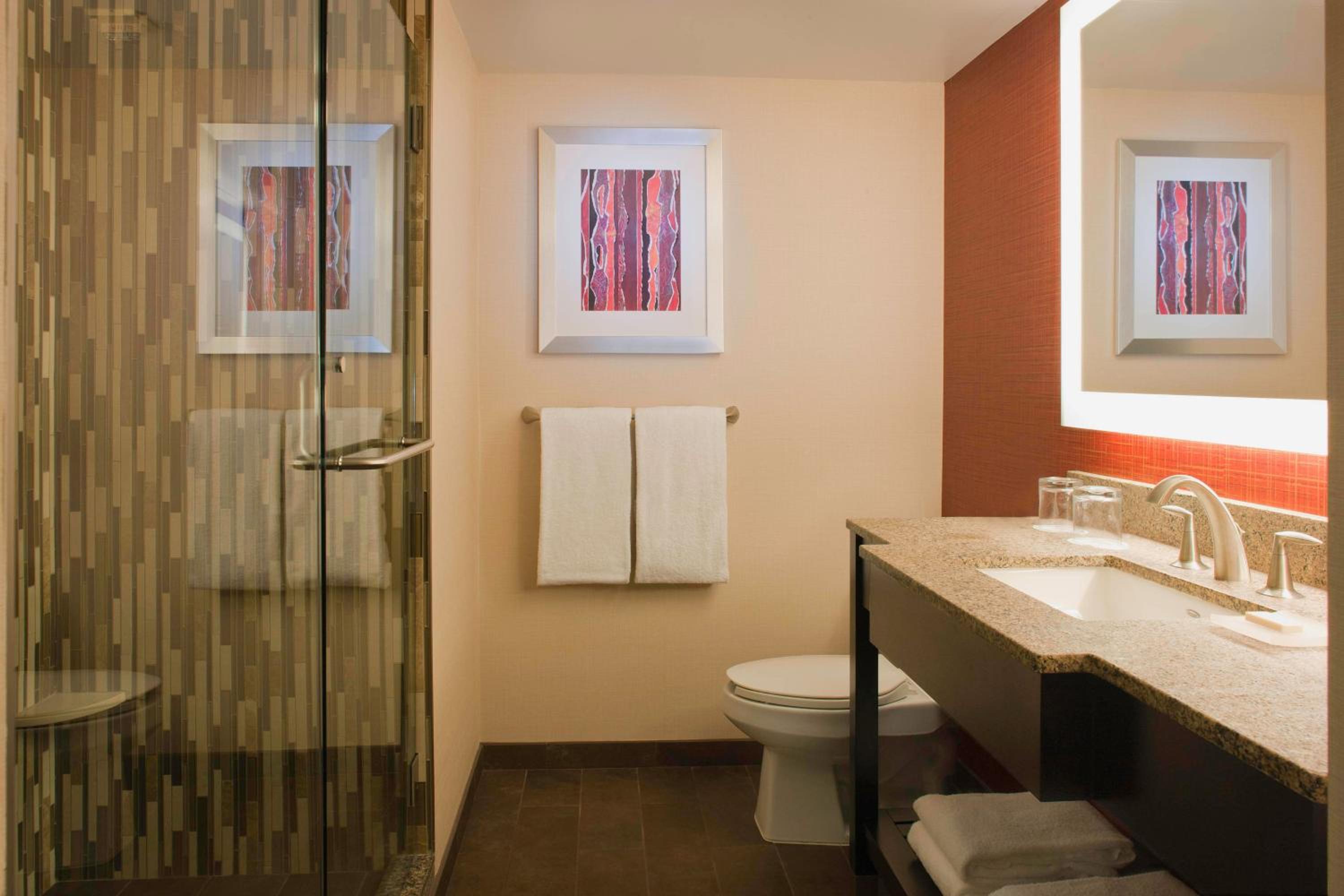 Smaller Guest room, 1 King, Near elevator (Mobility &amp; Hearing Accessible w/ Roll-in Shower) - Photo 3