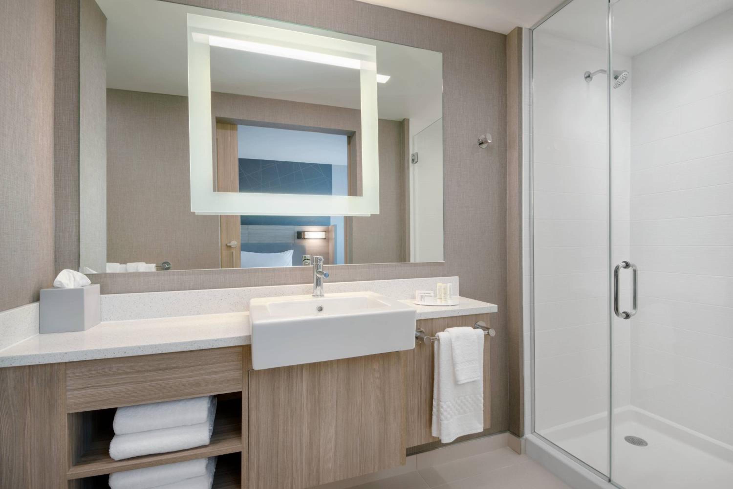 King Suite with Sofa Bed - Photo 4