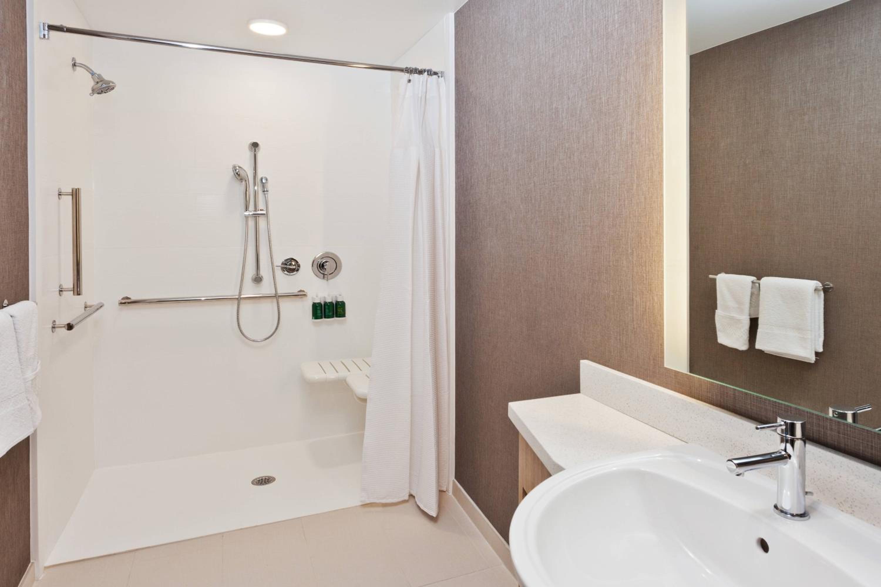 Suite, 1 King, Sofa bed - Photo 4