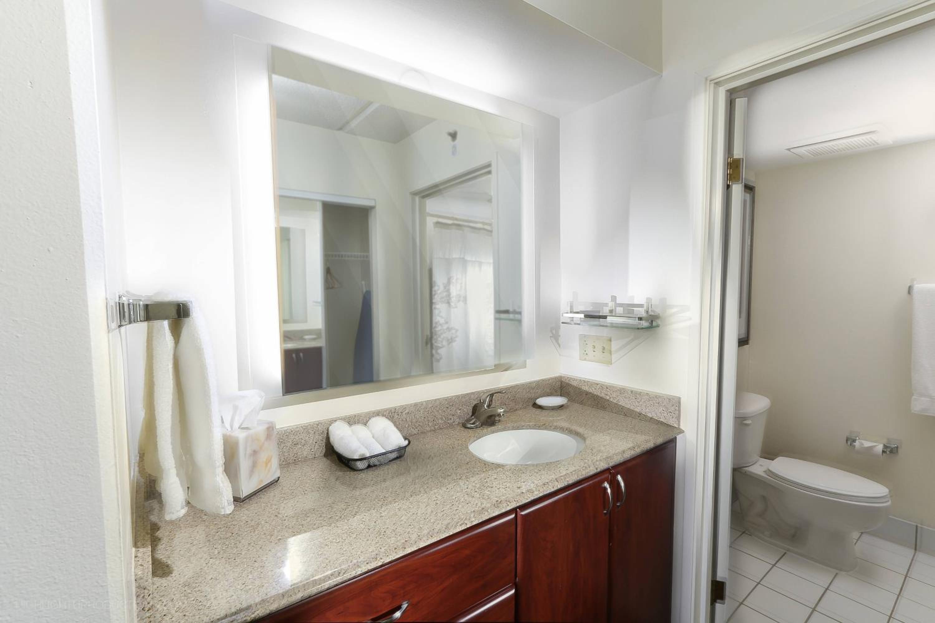 One-Bedroom Queen Suite with Sofa Bed - Photo 4