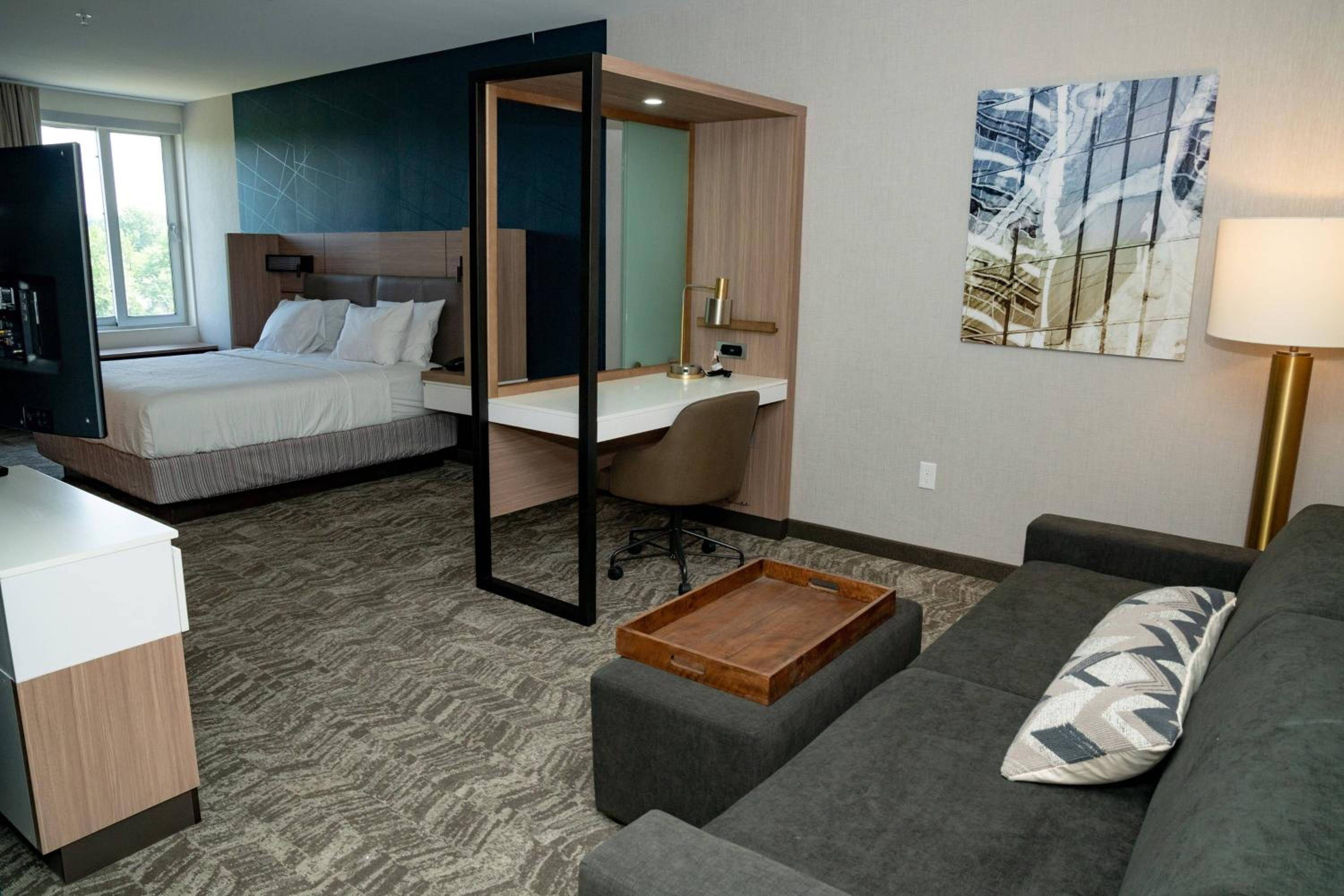 Standard King Suite - Photo 6
