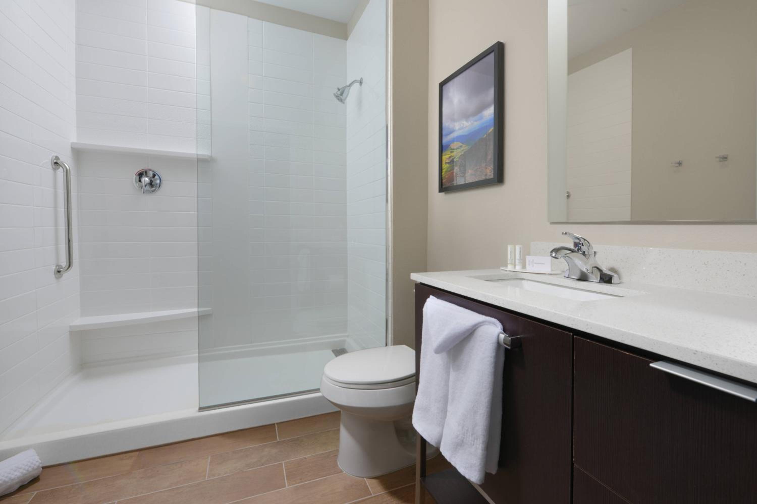 TownePlace Suites by Marriott Denver South/Lone Tree, Photo 3