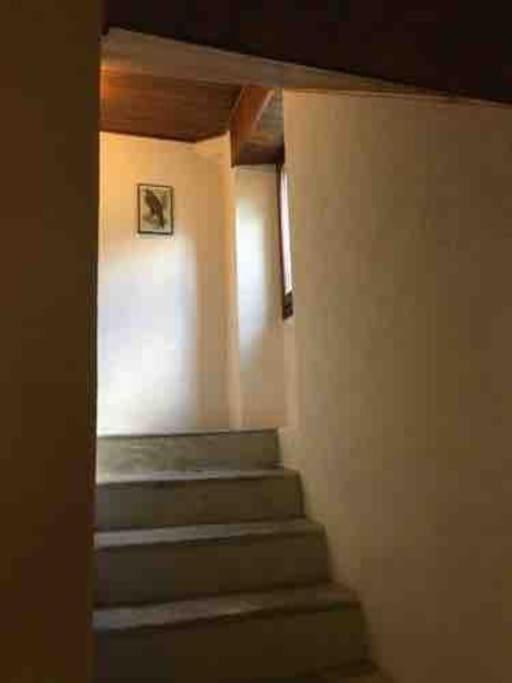One-Bedroom Chalet photo 3