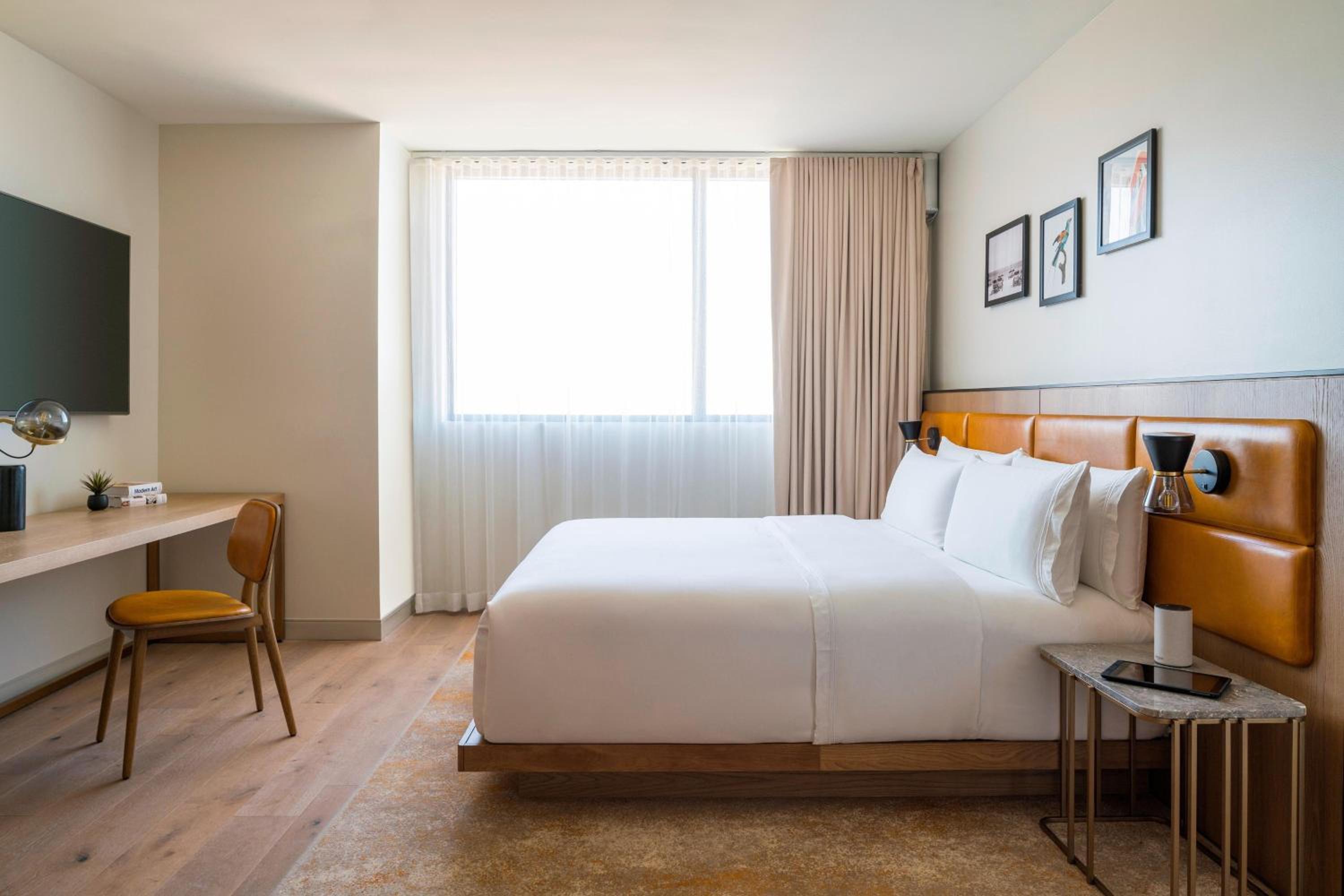 One Bedroom Junior City Suite One King with Sofa Bed