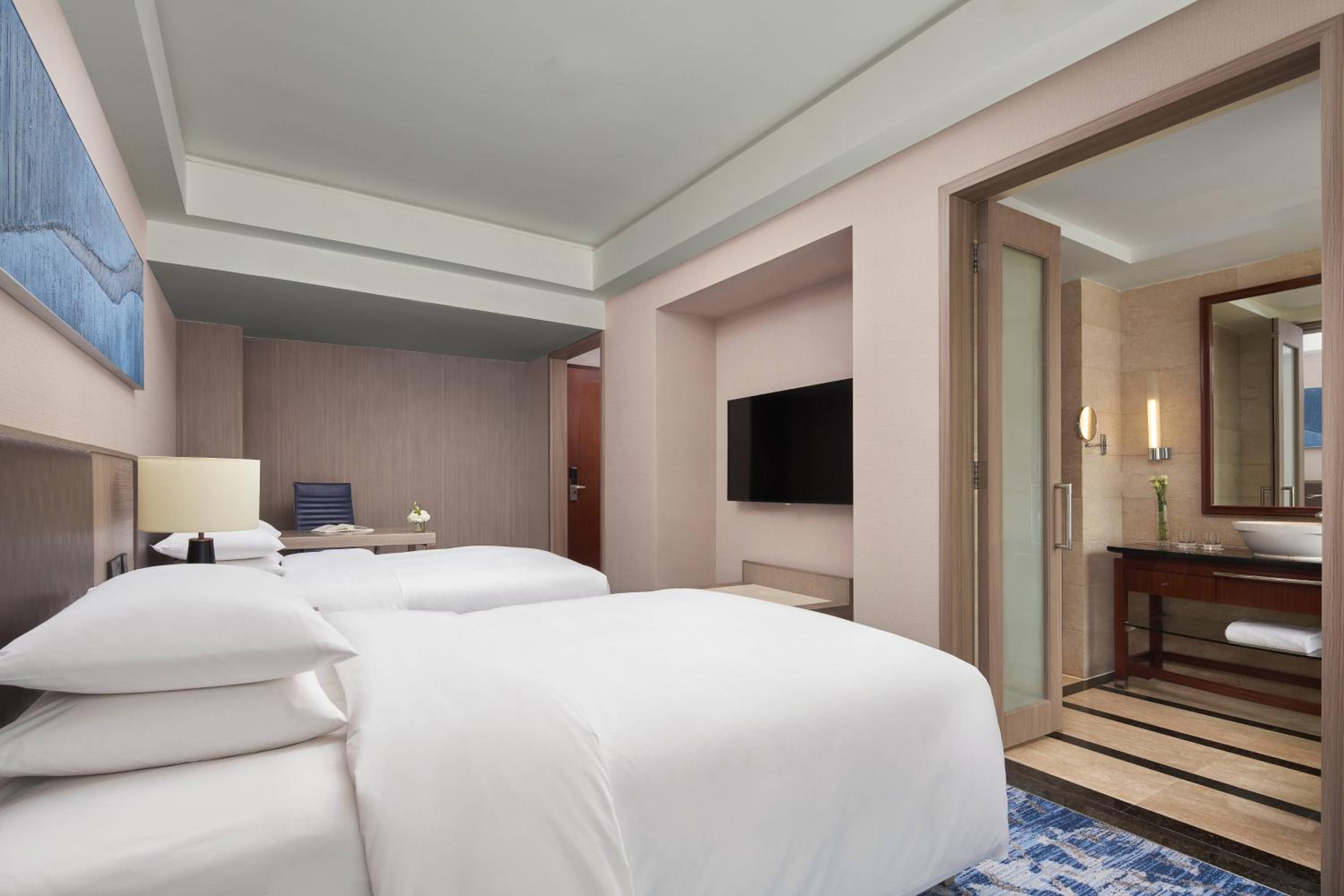 Deluxe Twin Room photo 1