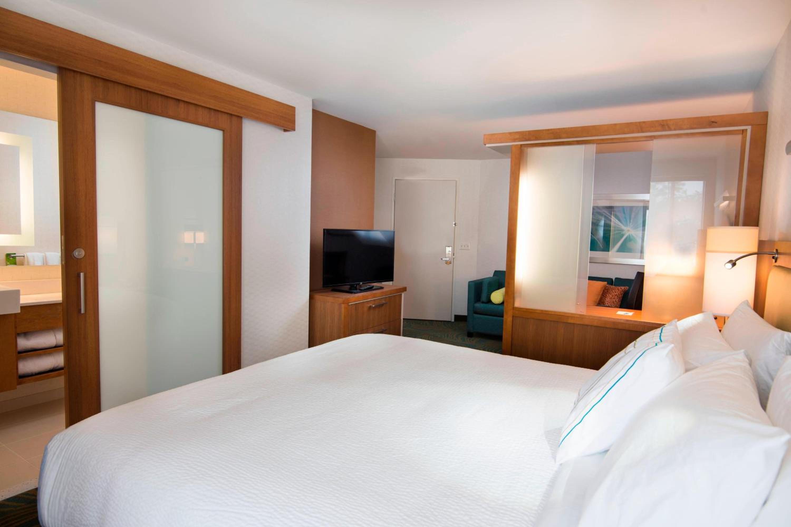 King Suite with Sofa Bed and Roll-in Shower - Mobility and Hearing Accessible