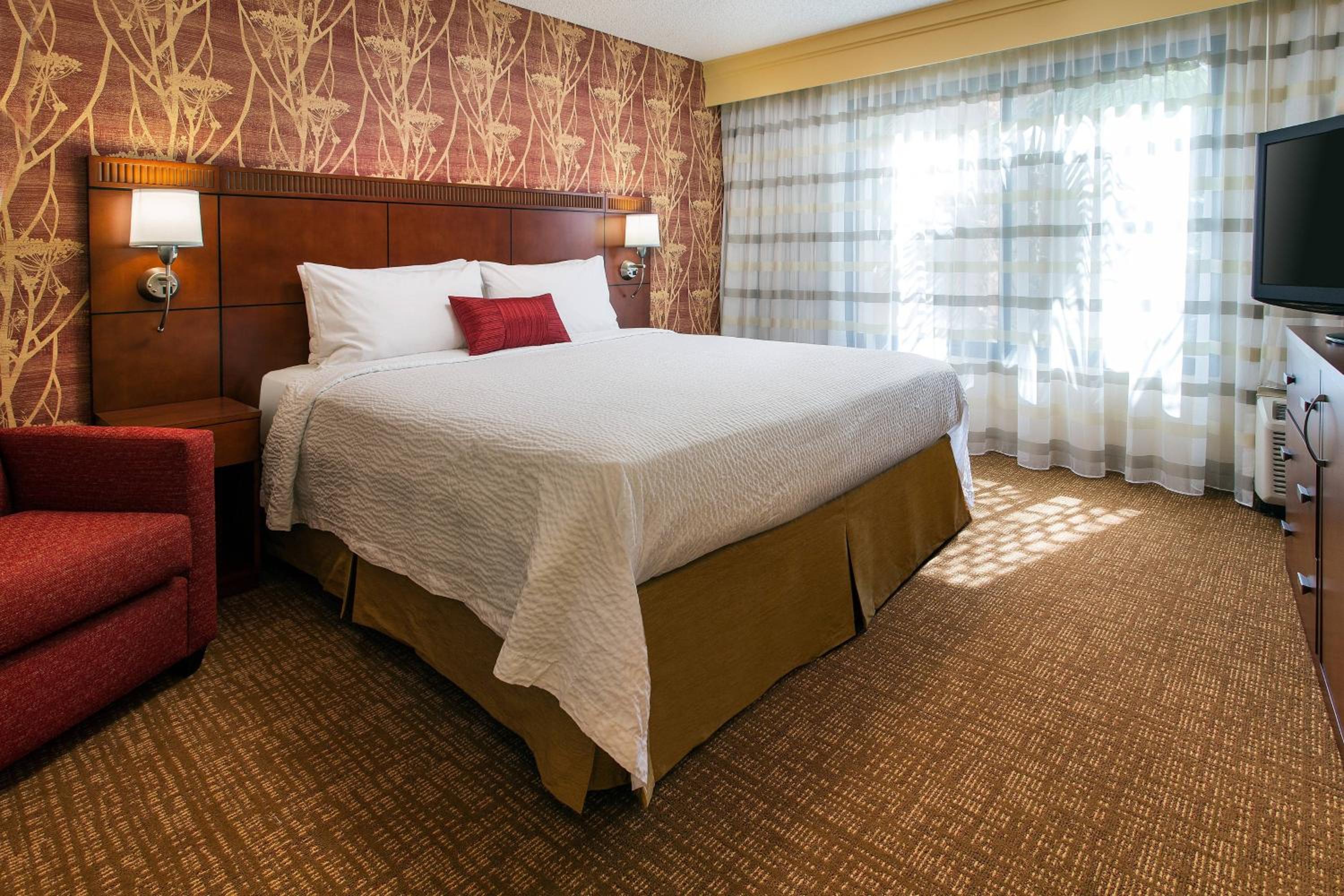 One-Bedroom King Suite with Sofa Bed  photo 2