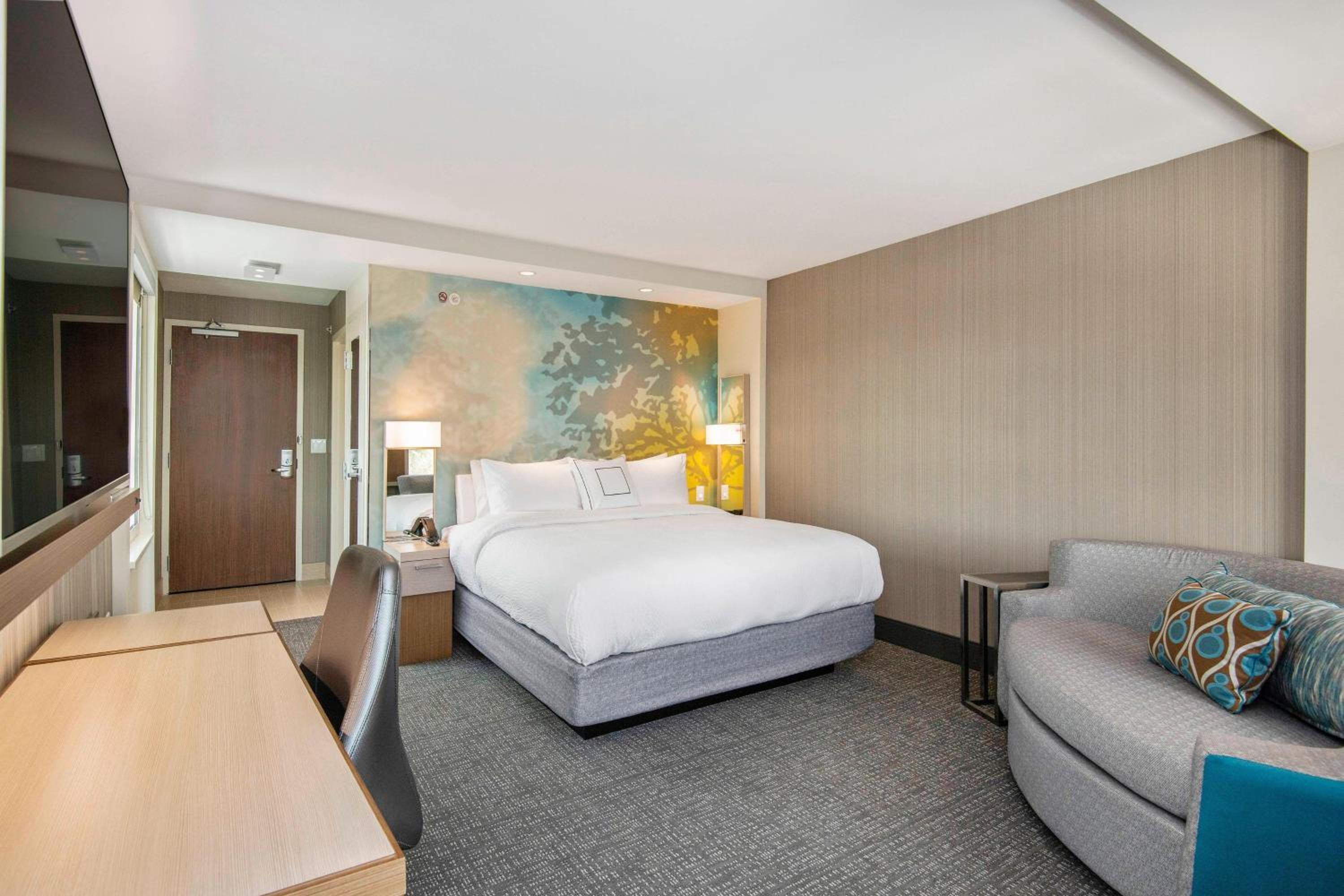 King Room with Sofa Bed and Roll-in Shower - Mobility Accessible photo 2